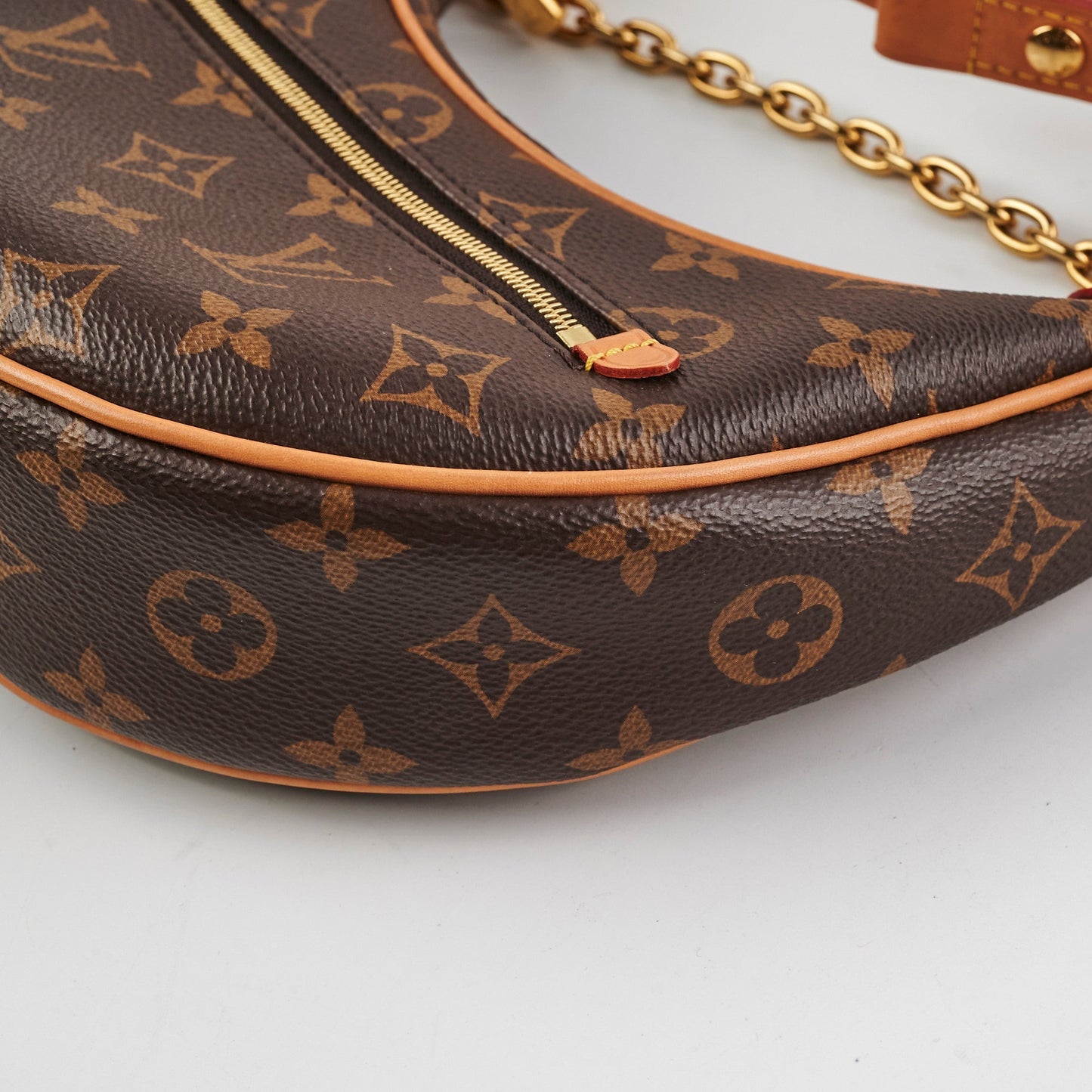 Louis Vuitton Loop Monogram Bag