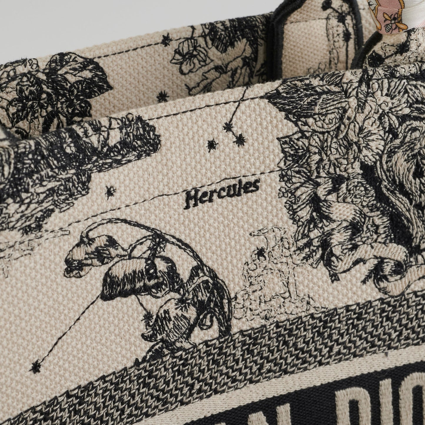 Dior Medium Book Tote Latte