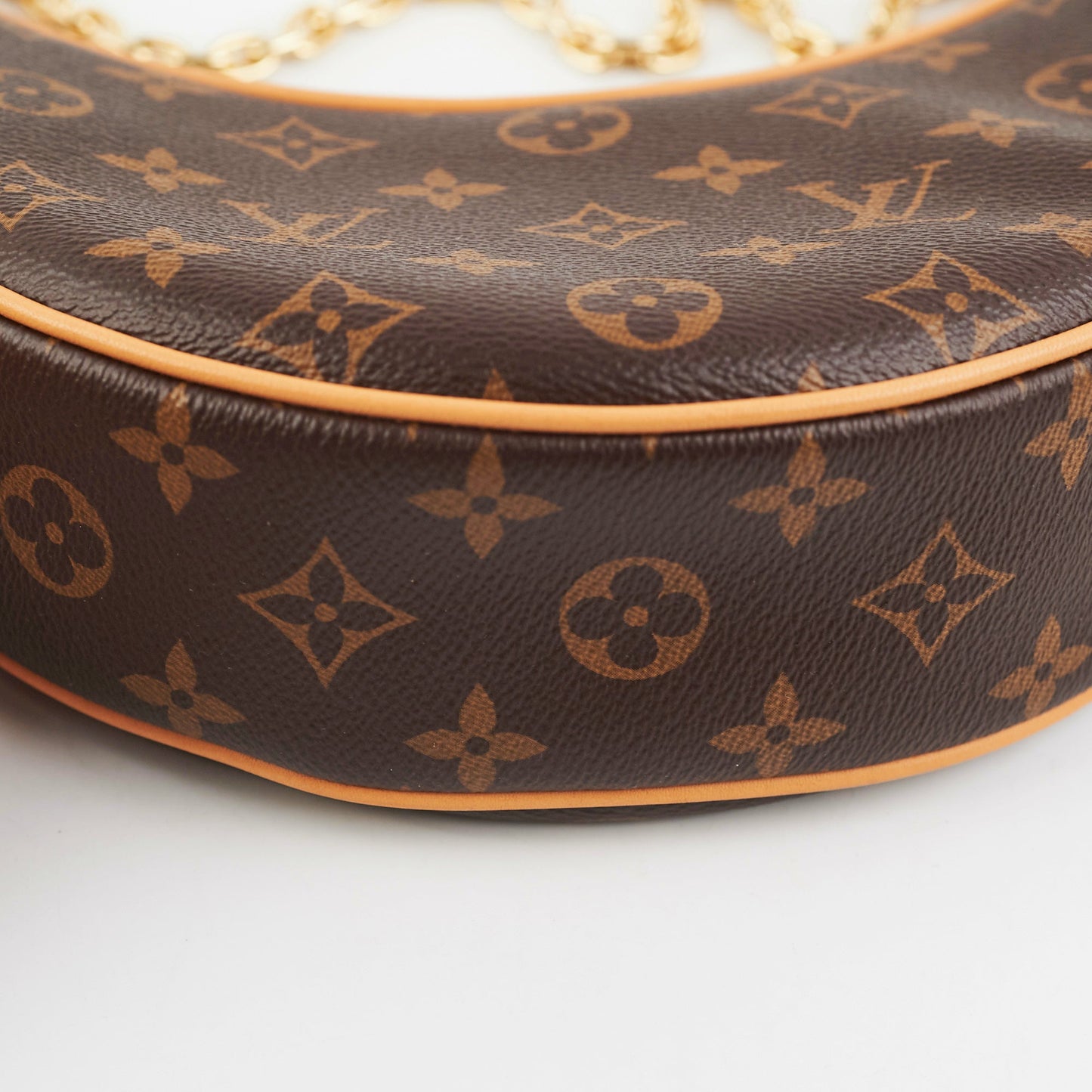 Louis Vuitton Loop bag Monogram