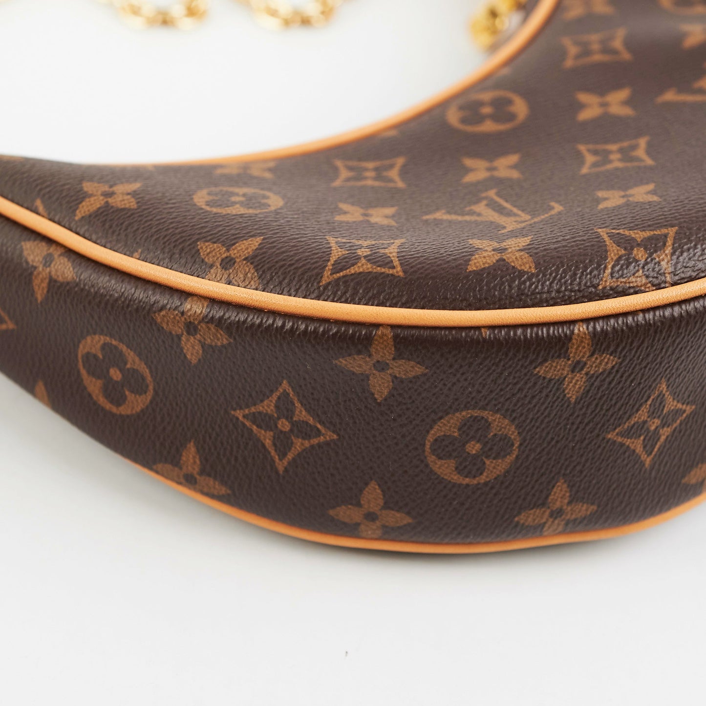 Louis Vuitton Loop bag Monogram