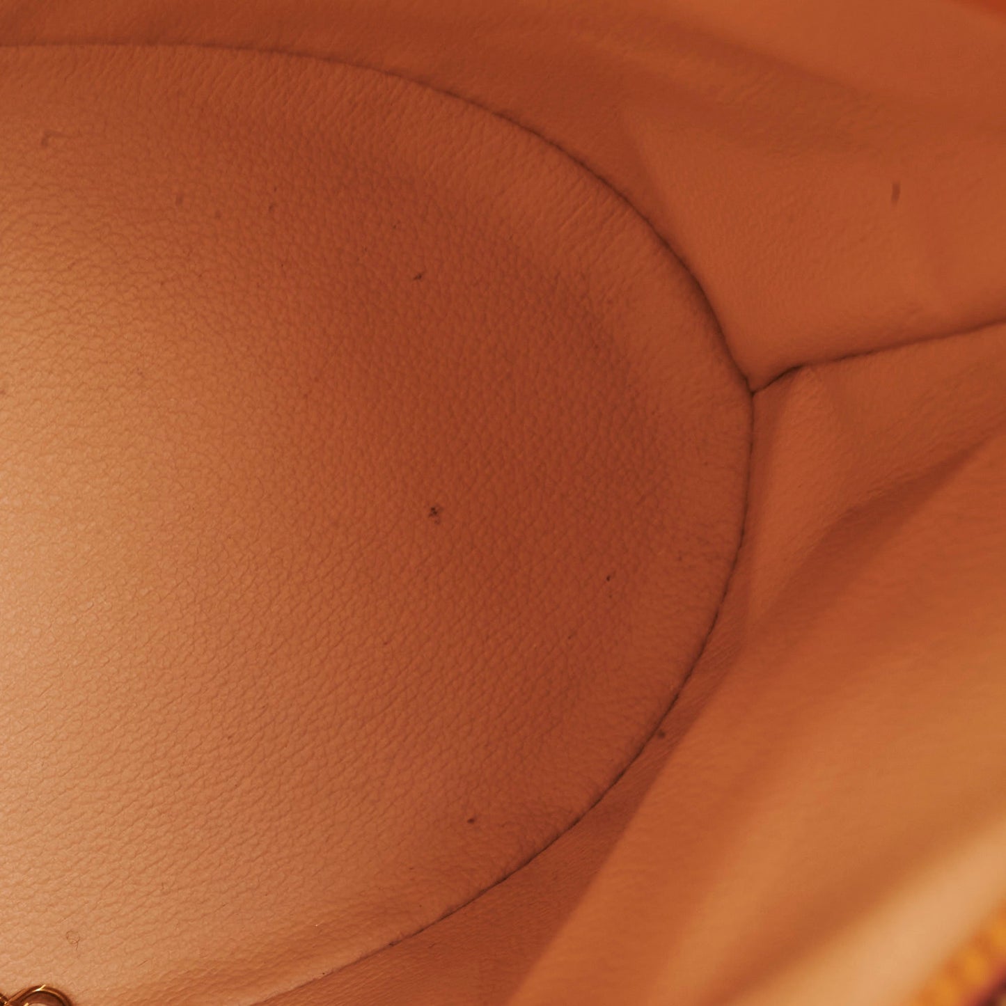 Louis Vuitton Monogram   Bucket Bag
