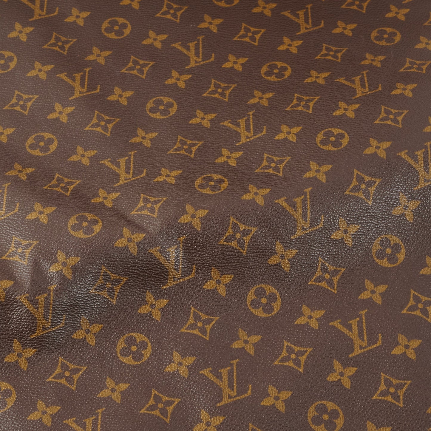 Louis Vuitton Garment Cover Monogram
