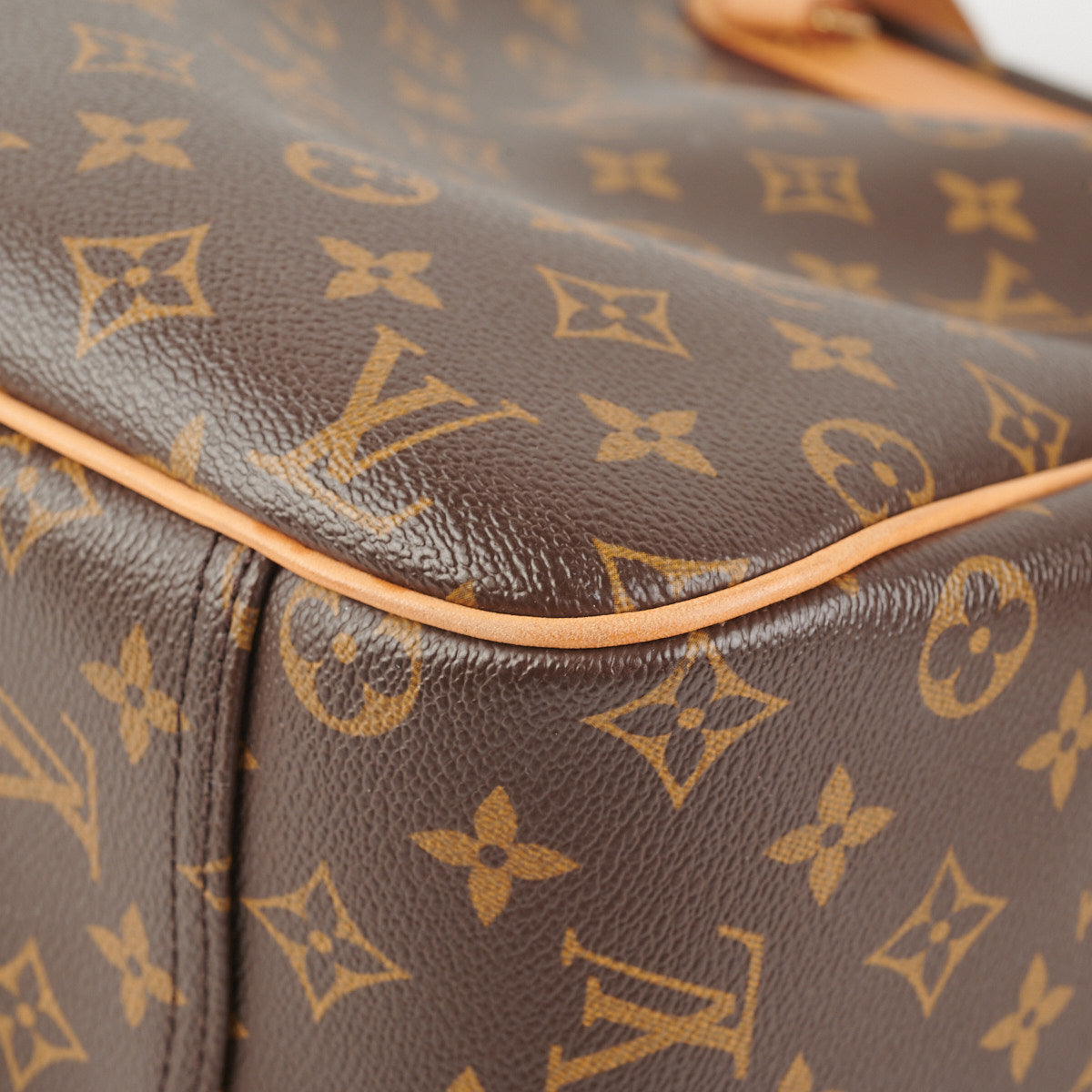Louis Vuitton Monogram Excursion Shoe Bag
