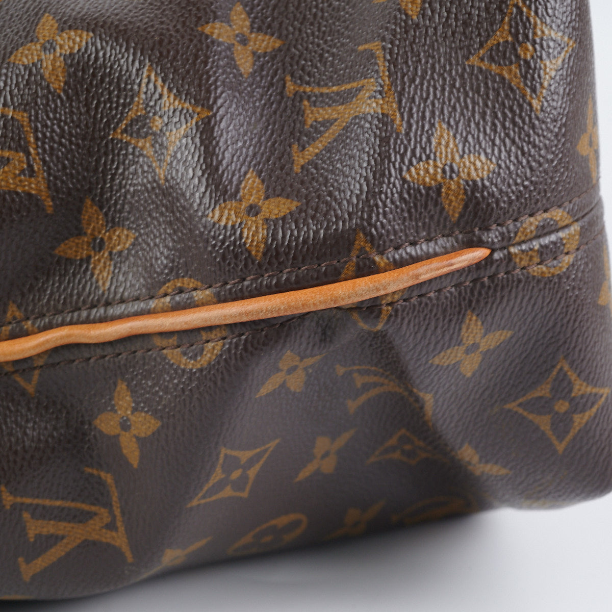 Louis Vuitton Hobo Monogram Bag