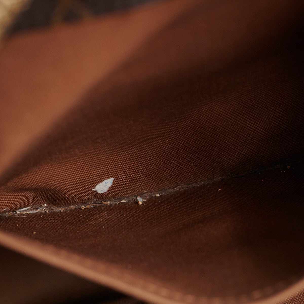 Louis Vuitton Hobo Monogram Bag
