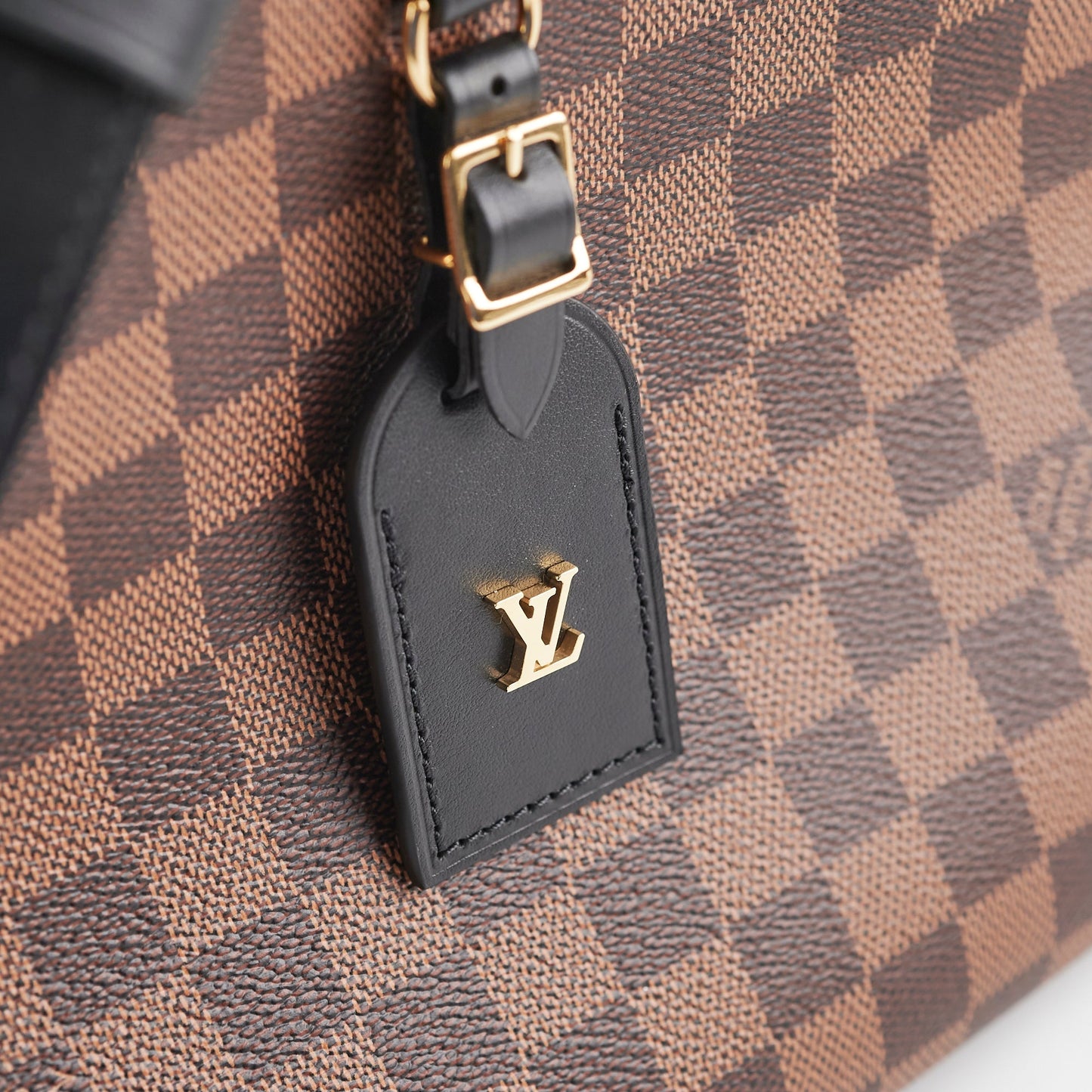 Louis Vuitton Damier Ebene Odeon MM Bag