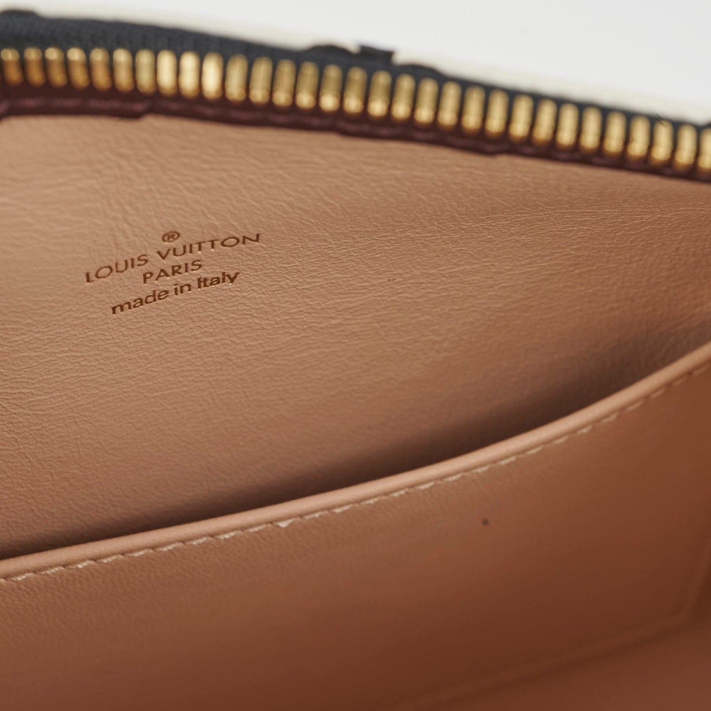 Louis Vuitton Amazon Speedy PM Monogram