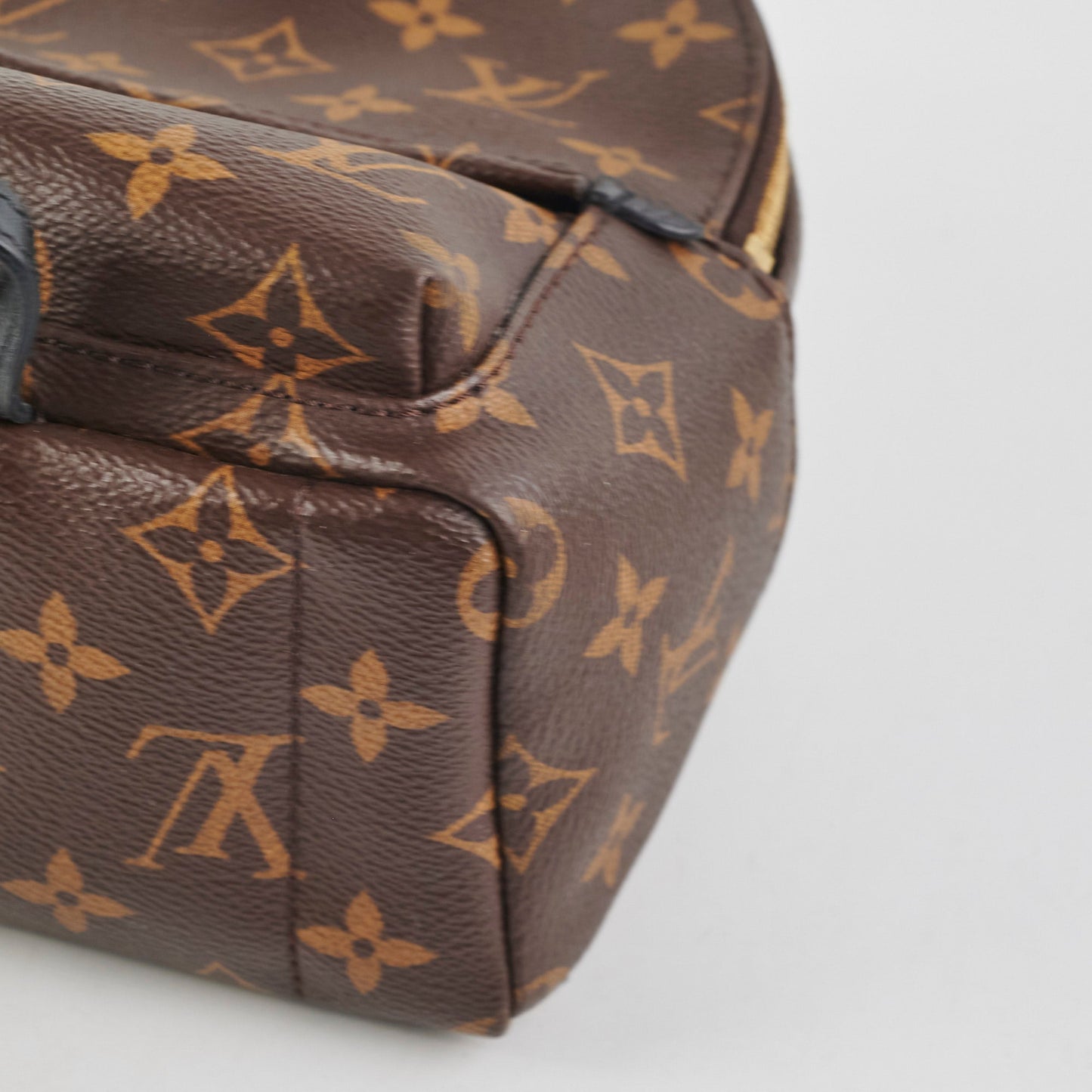 Louis Vuitton Palm Springs Monogram Mini Backpack