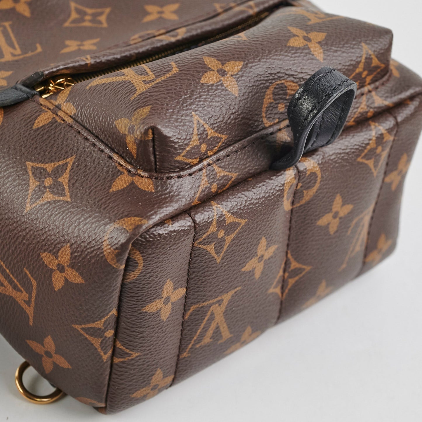 Louis Vuitton Palm Springs Monogram Mini Backpack