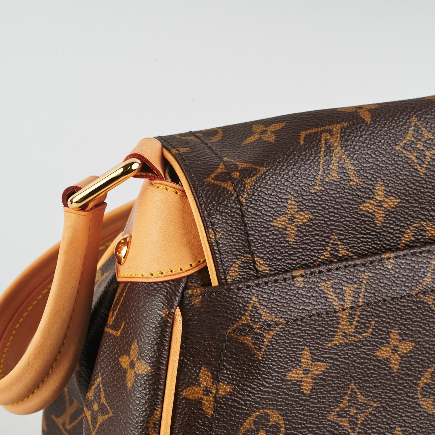 Louis Vuitton Monogram Bag