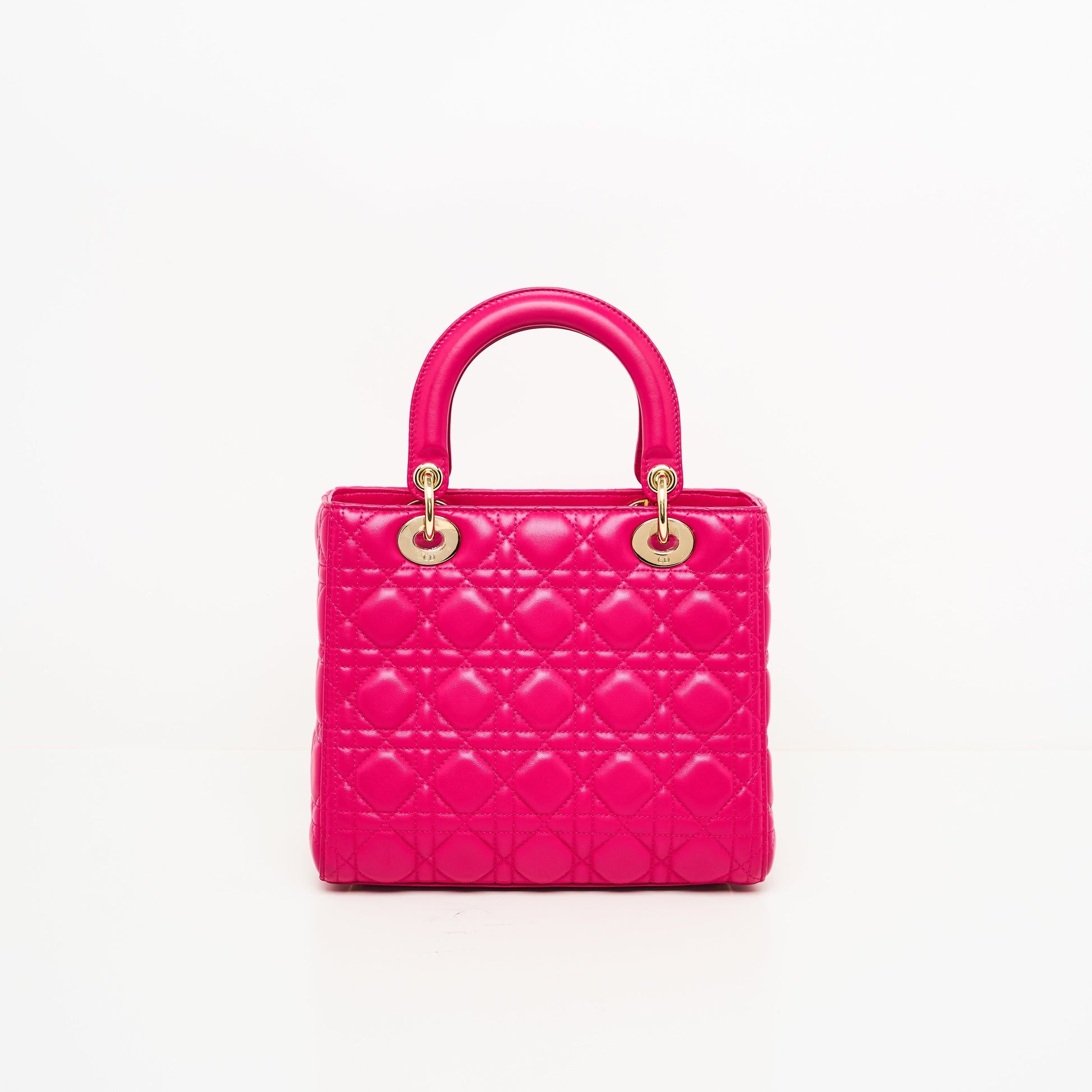 Dior Lou Lady Dior Leather Handbag