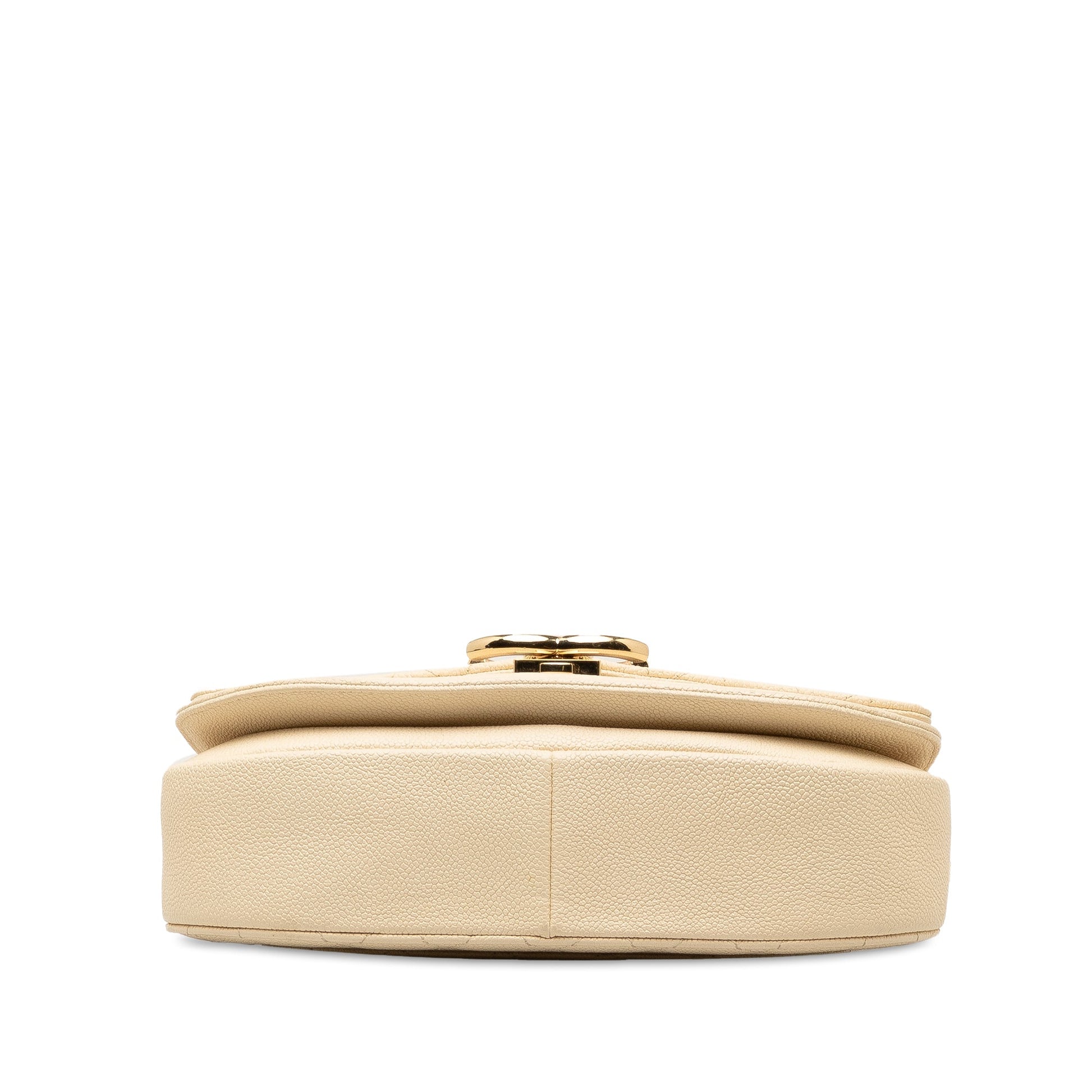 Chanel Medium Shoulder Bag - Ewore Bags