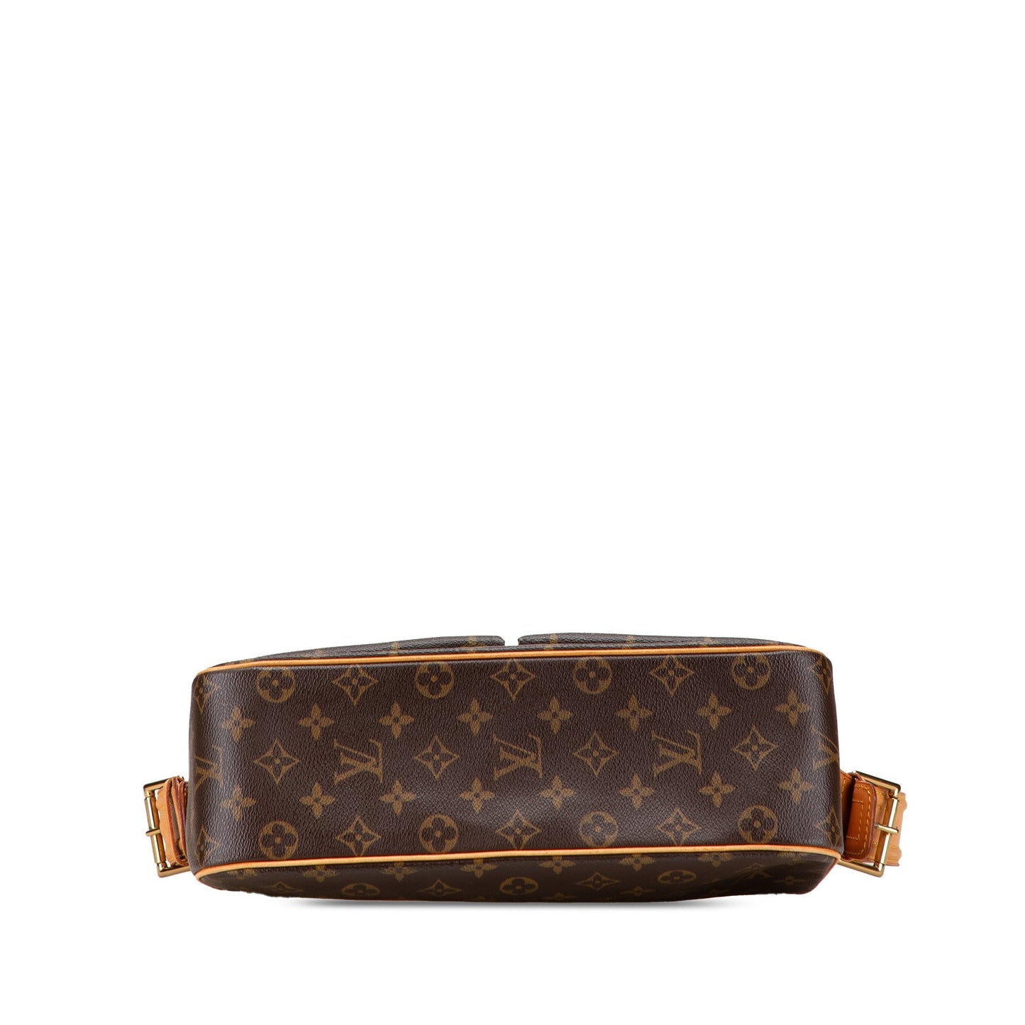 Brown Louis Vuitton Monogram Viva Cite GM Shoulder Bag
