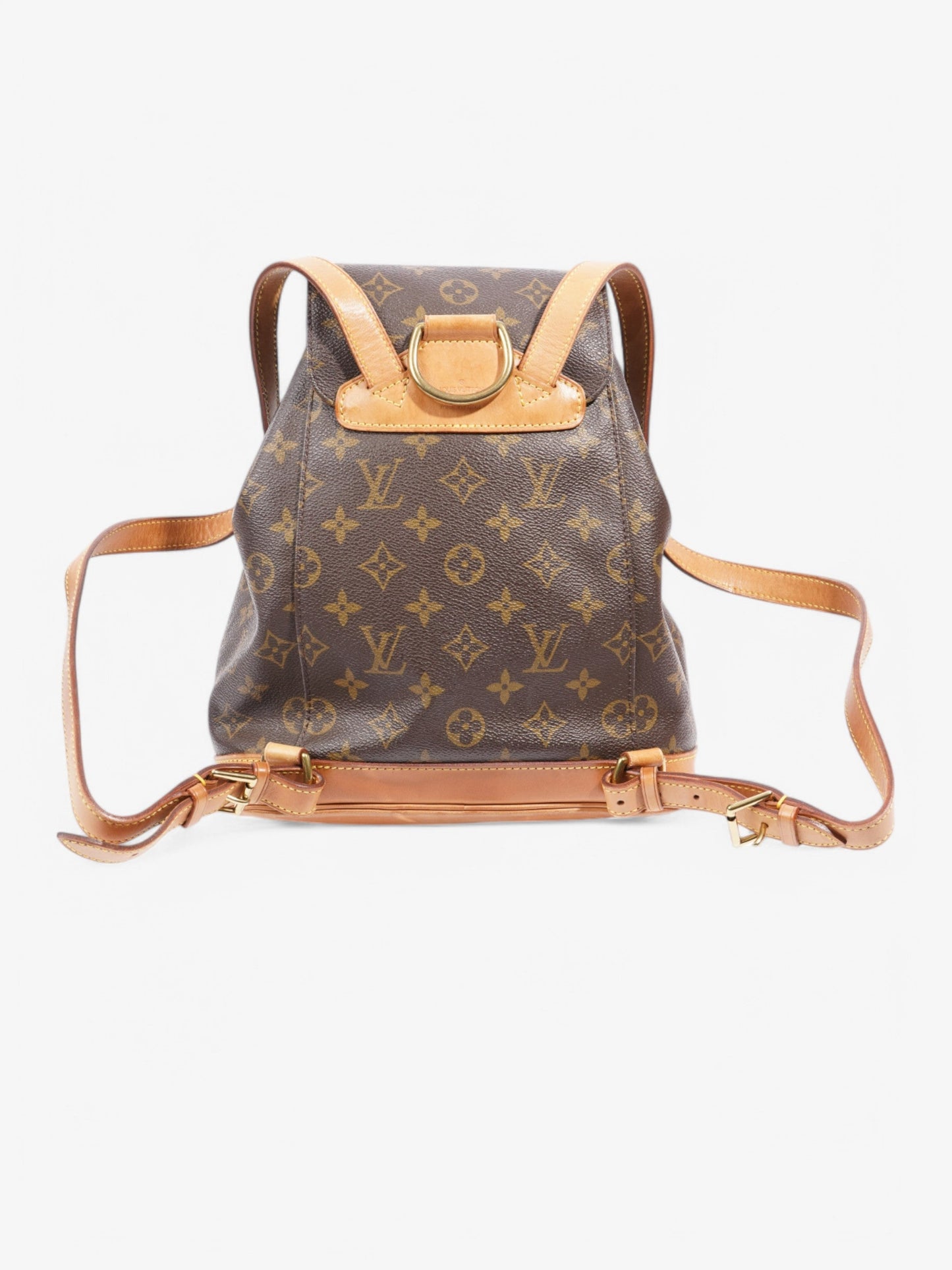 Louis Vuitton Montsouris  Monogram Coated Canvas MM