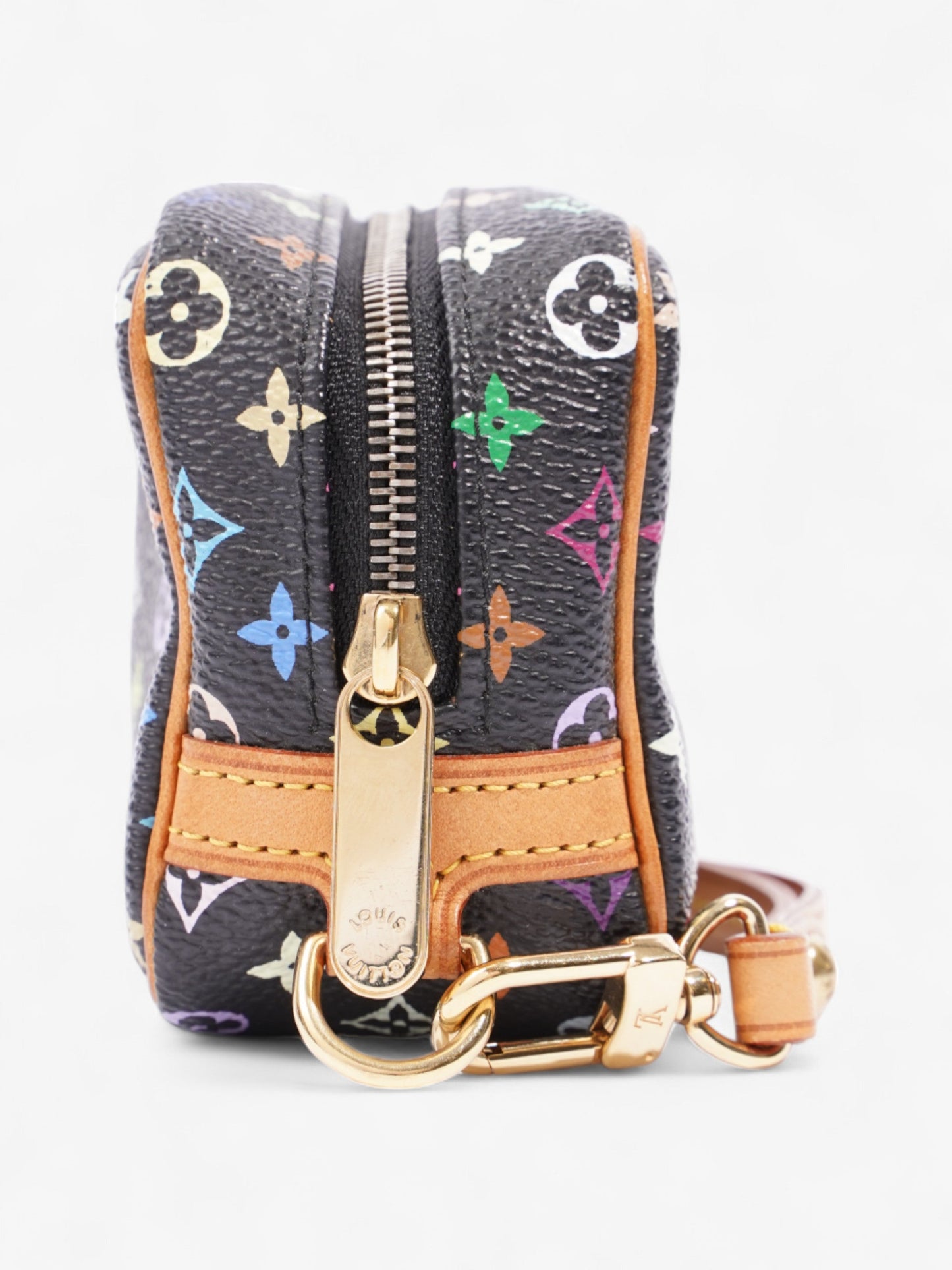 Louis Vuitton Truth Wapity Black /  Multicolour Coated Canvas