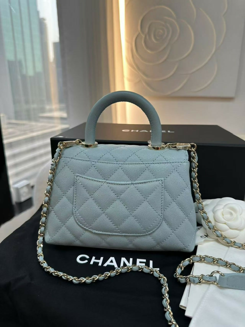 Chanel (22)Coco Handle Mini