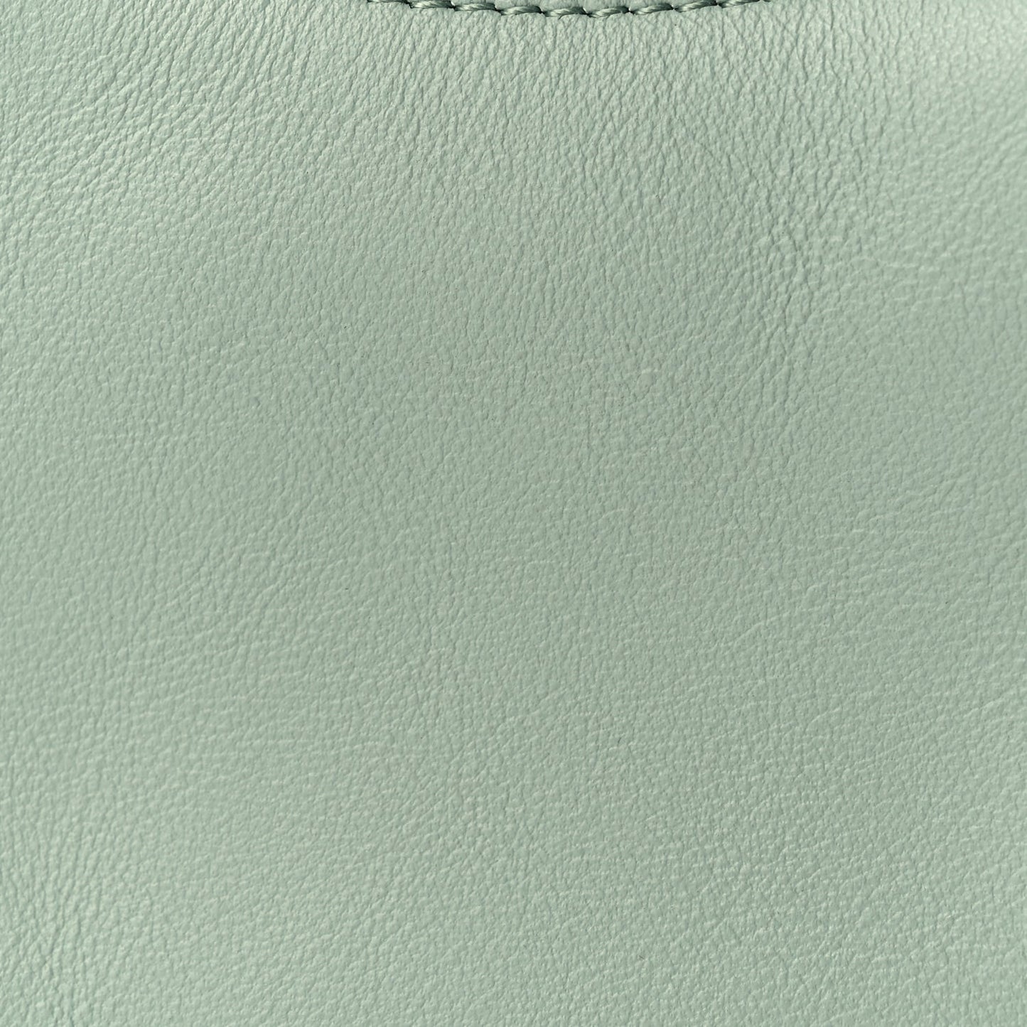 Fendi Vitello Grace New Matte Nano Fendigraphy Hobo Charm Menta