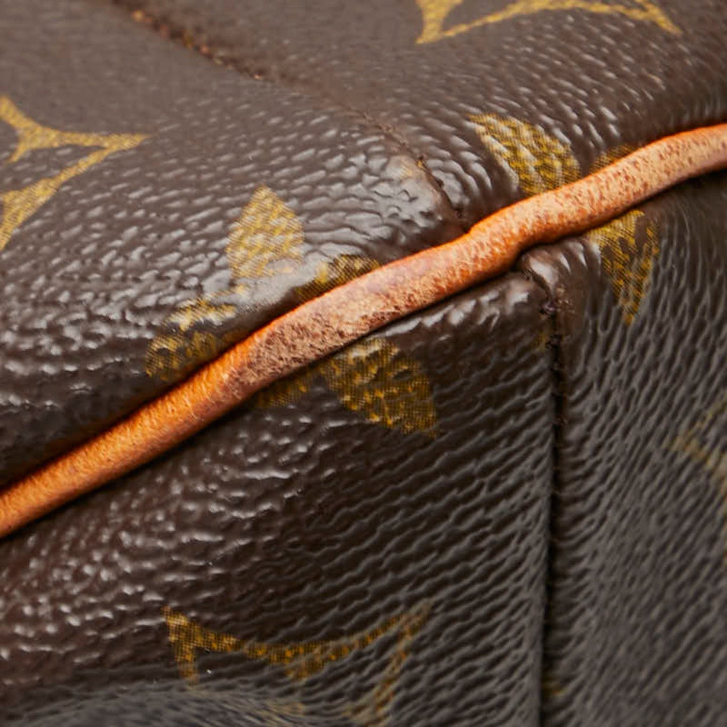 Louis Vuitton  Monogram Pvc Leather Shoulder Bag