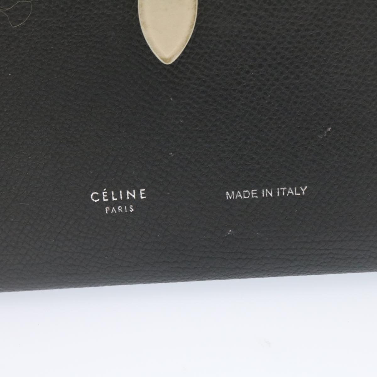Luxury CELINE Large Strap Wallet Leather Black  ai152