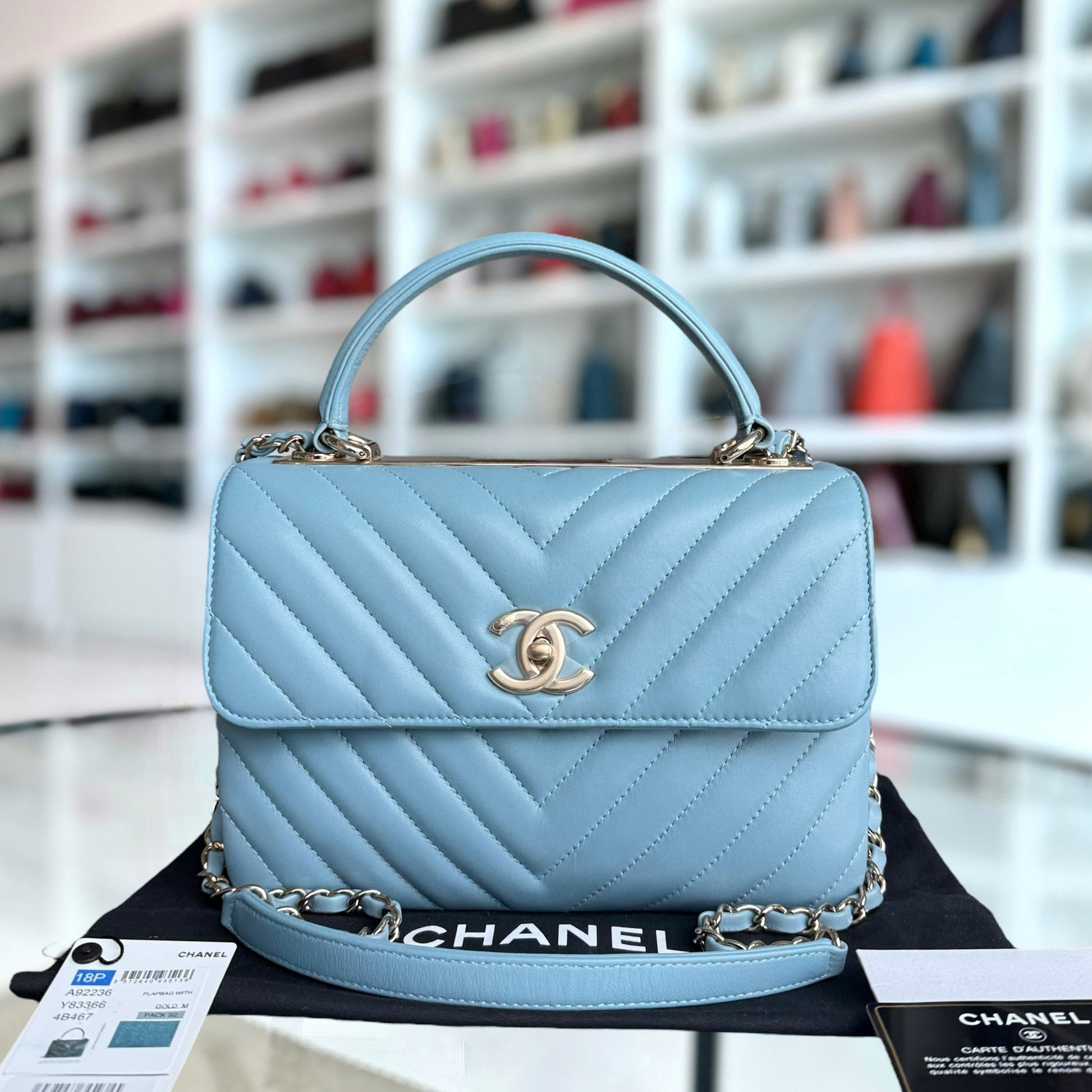 Chanel Small Handbag - EworeBags
