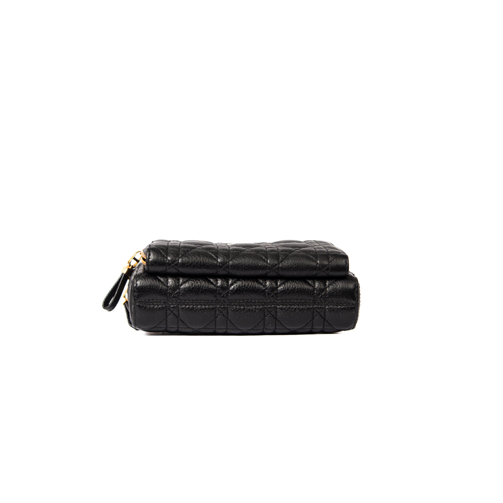 Dior Crossbody