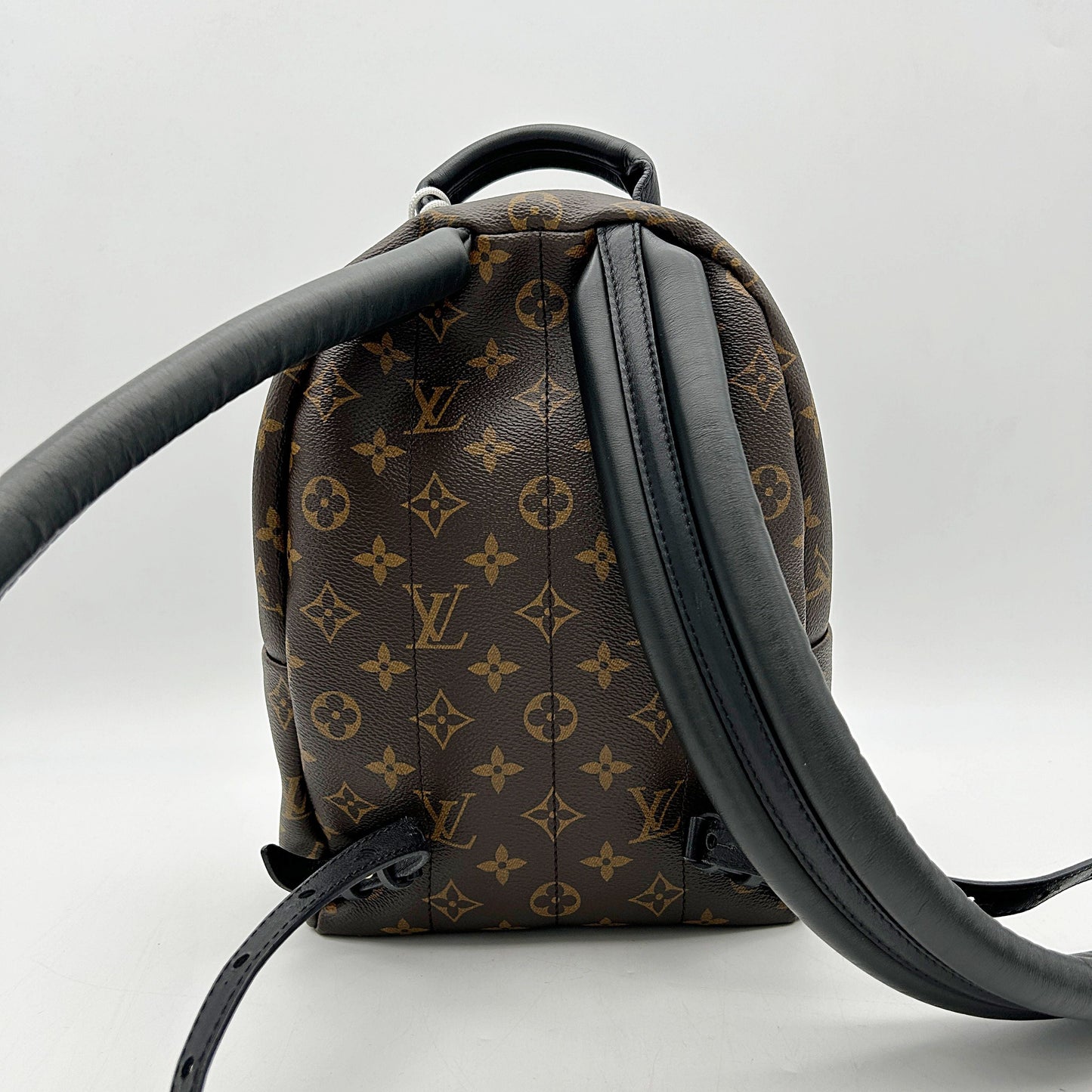 LOUIS VUITTON Monogram Palm Springs Backpack LA26501