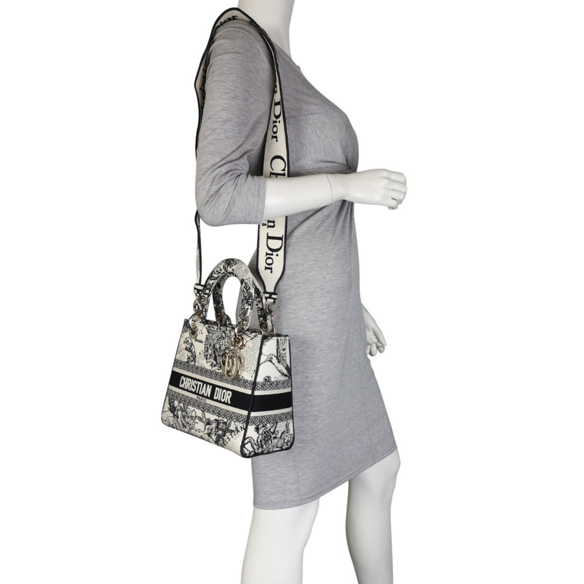 Dior Lady D-Lite Medium Toile de Jouy Zodiac
