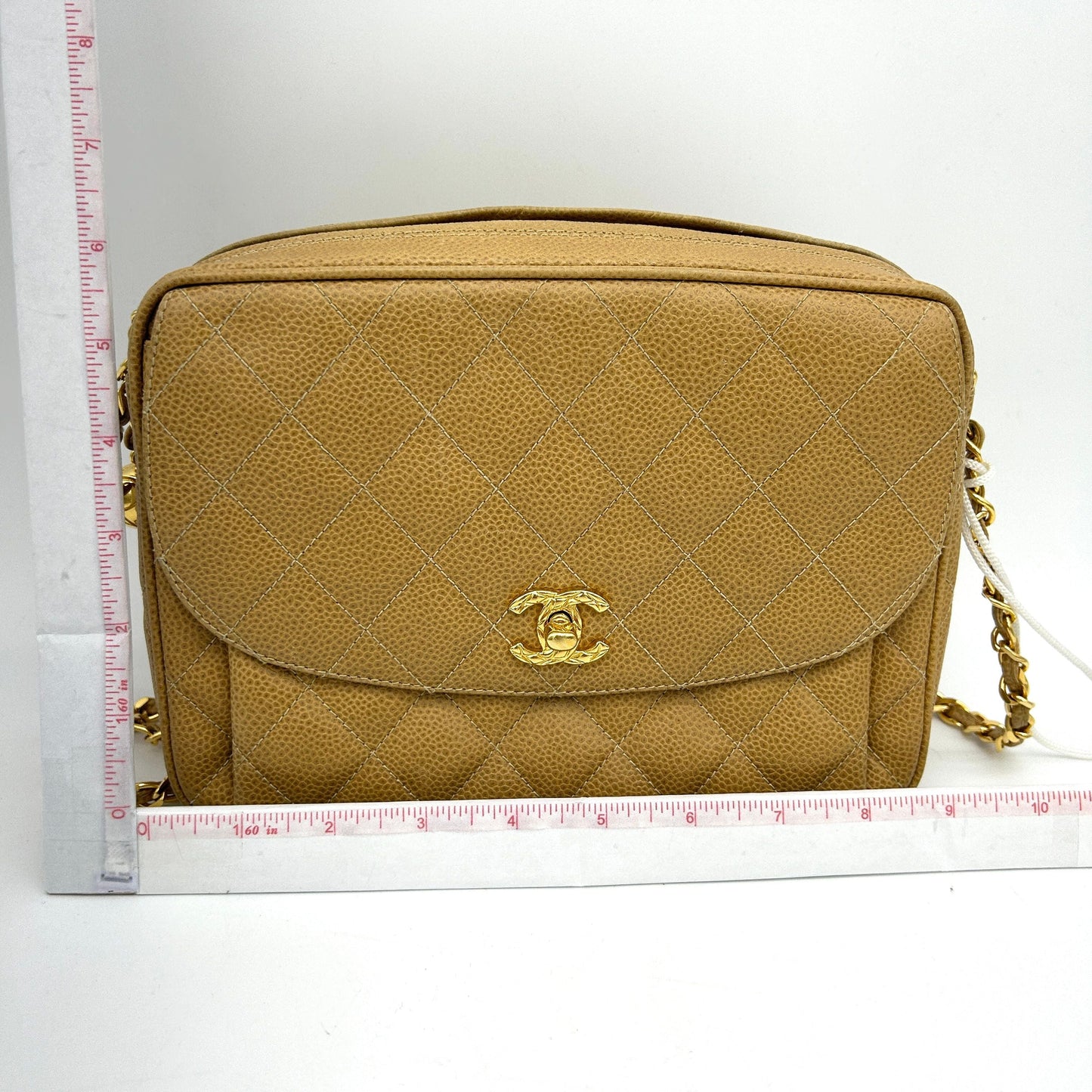 Chanel Cabian Skin Chevron Fringe Chain Shoulder Bag Leather LA29807