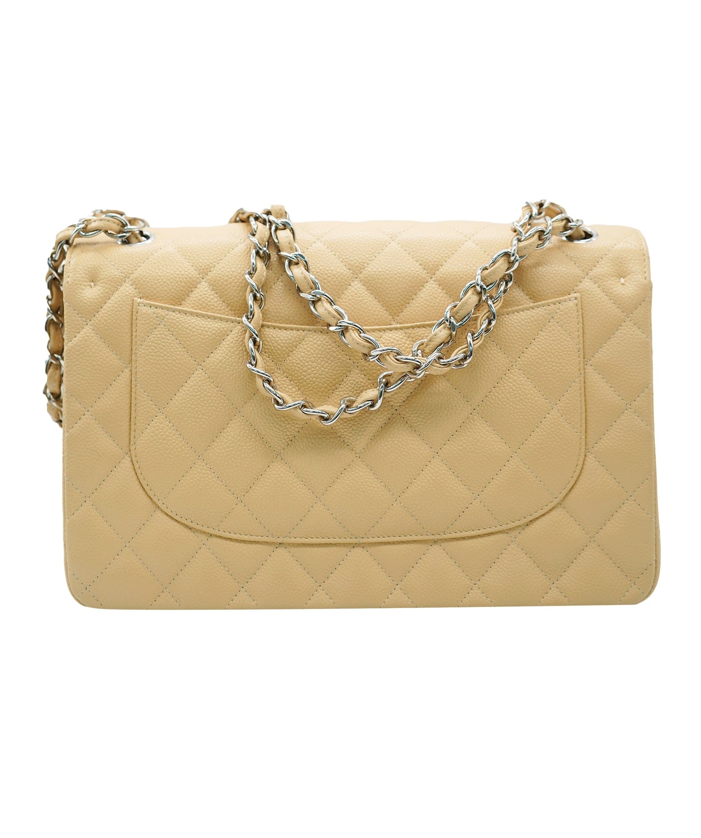 Chanel Handbag - Ewore Bags