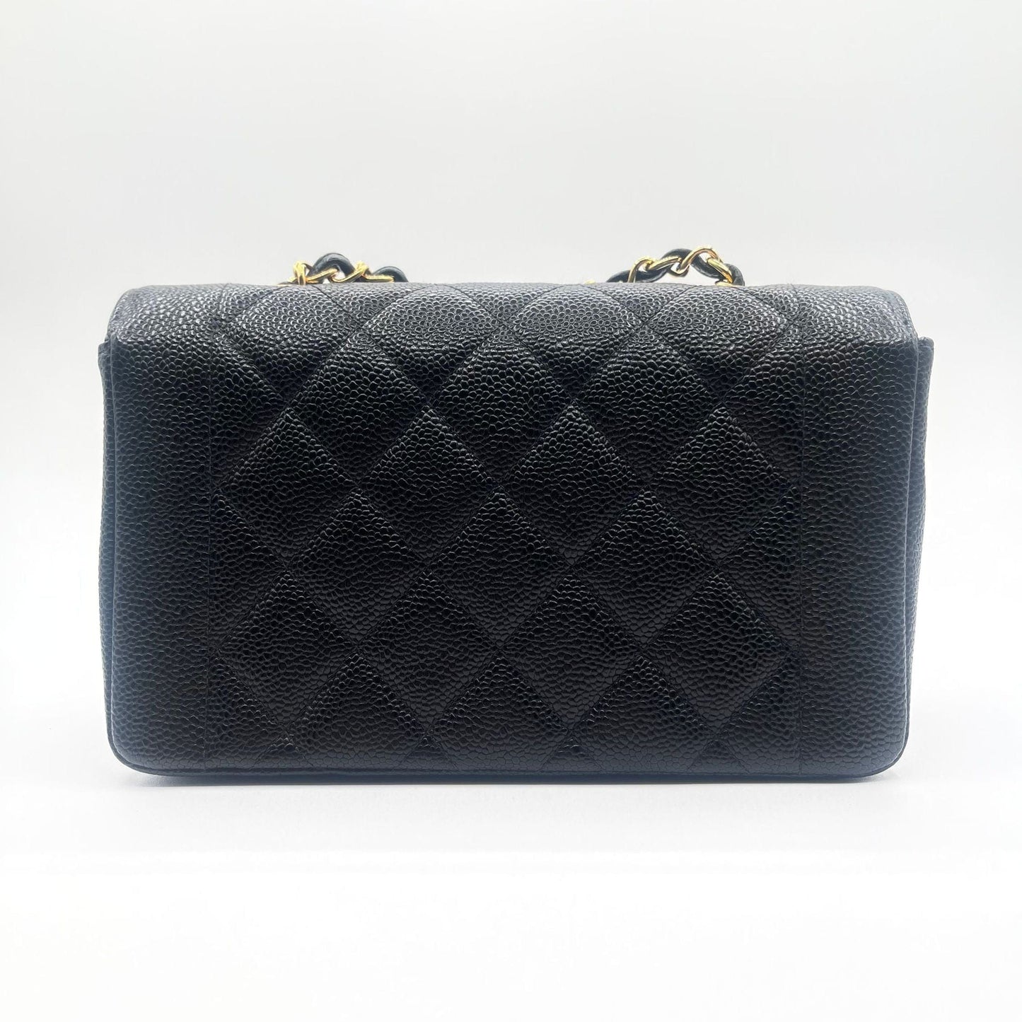Chanel Handbag - Ewore Bags