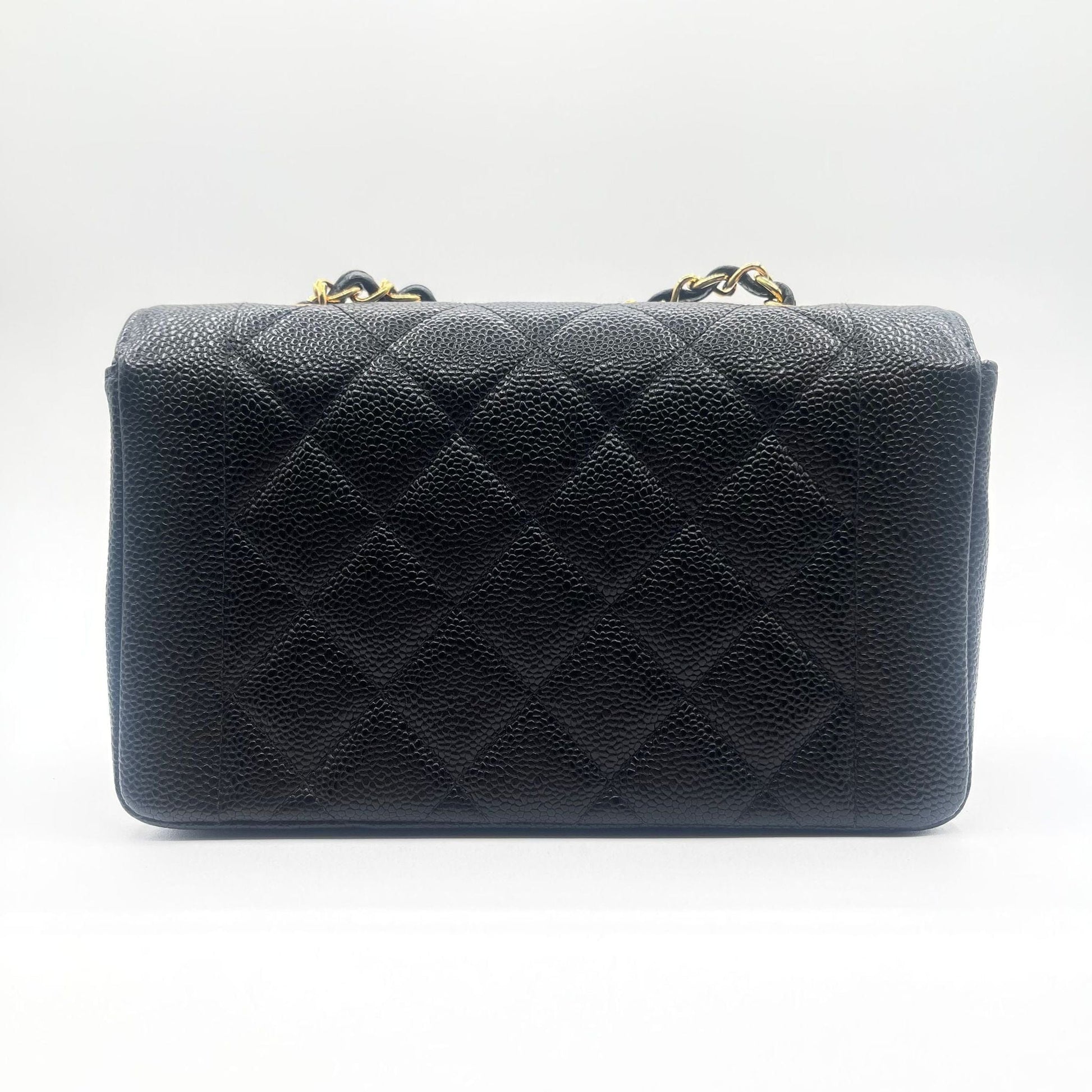 Chanel Handbag - Ewore Bags