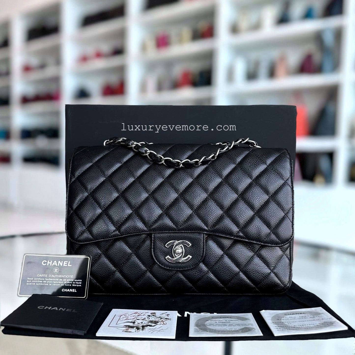 Chanel Classic Flap Shoulder Bag - EworeBags