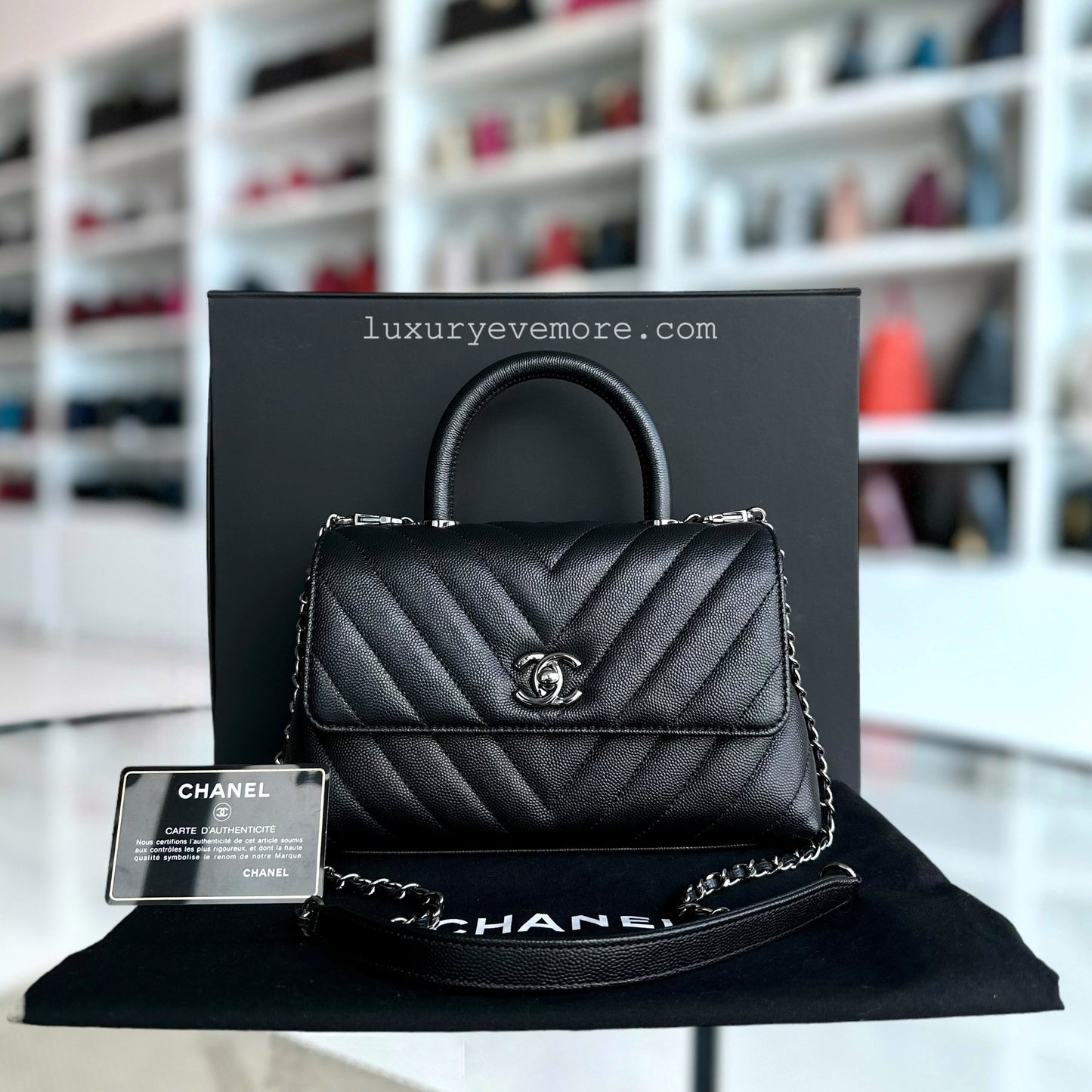 Chanel Small Handbag - EworeBags