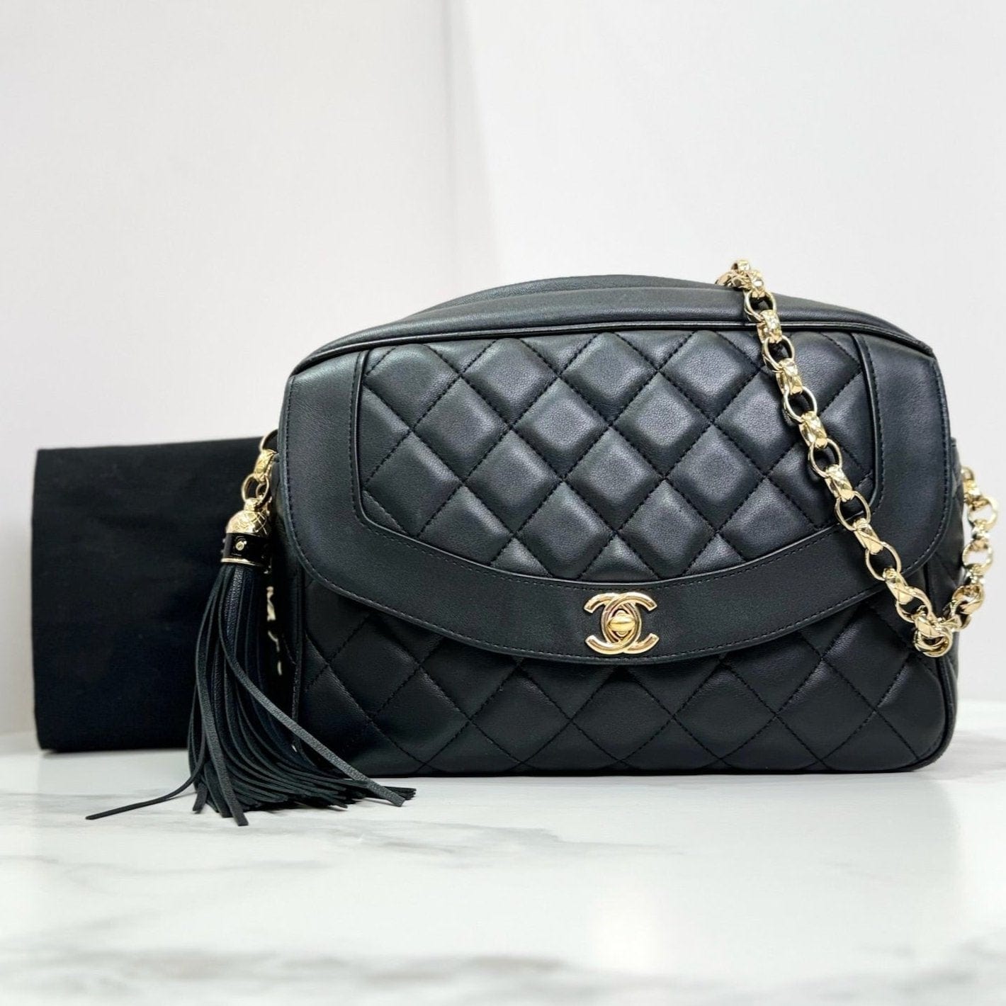 Chanel Camera Bag Crossbody Bag - Ewore Bags