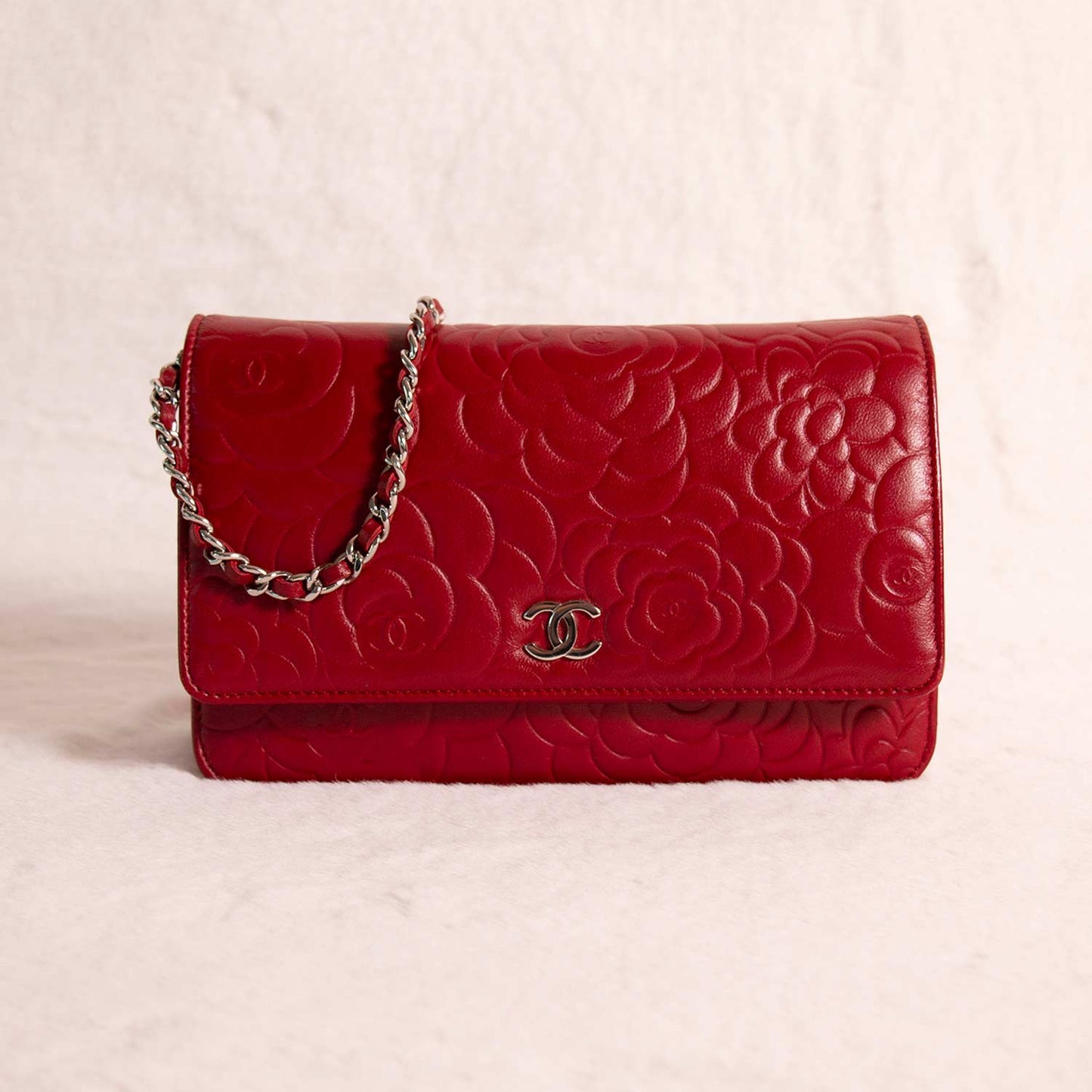Chanel Wallet On Chain Crossbody Bag - Ewore Bags