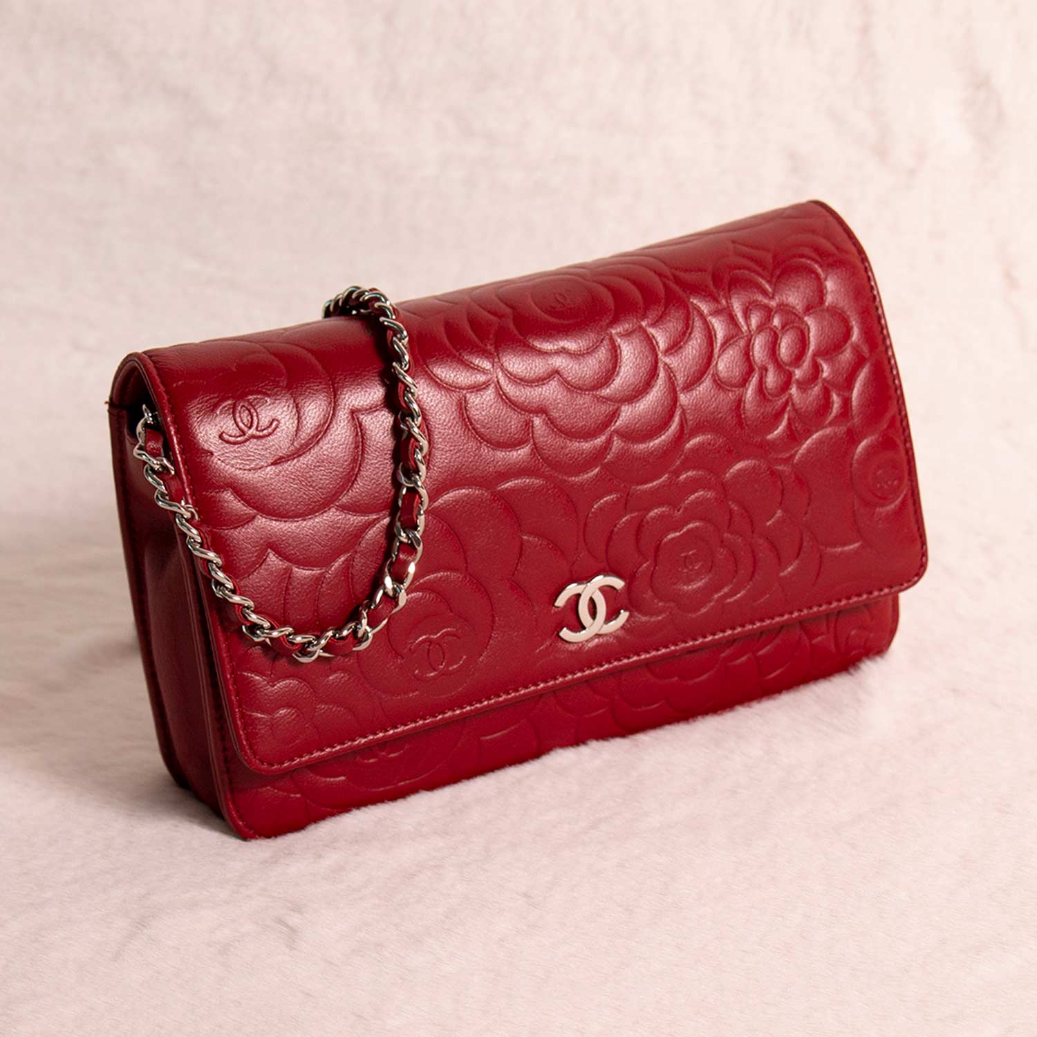 Chanel Wallet On Chain Crossbody Bag - Ewore Bags