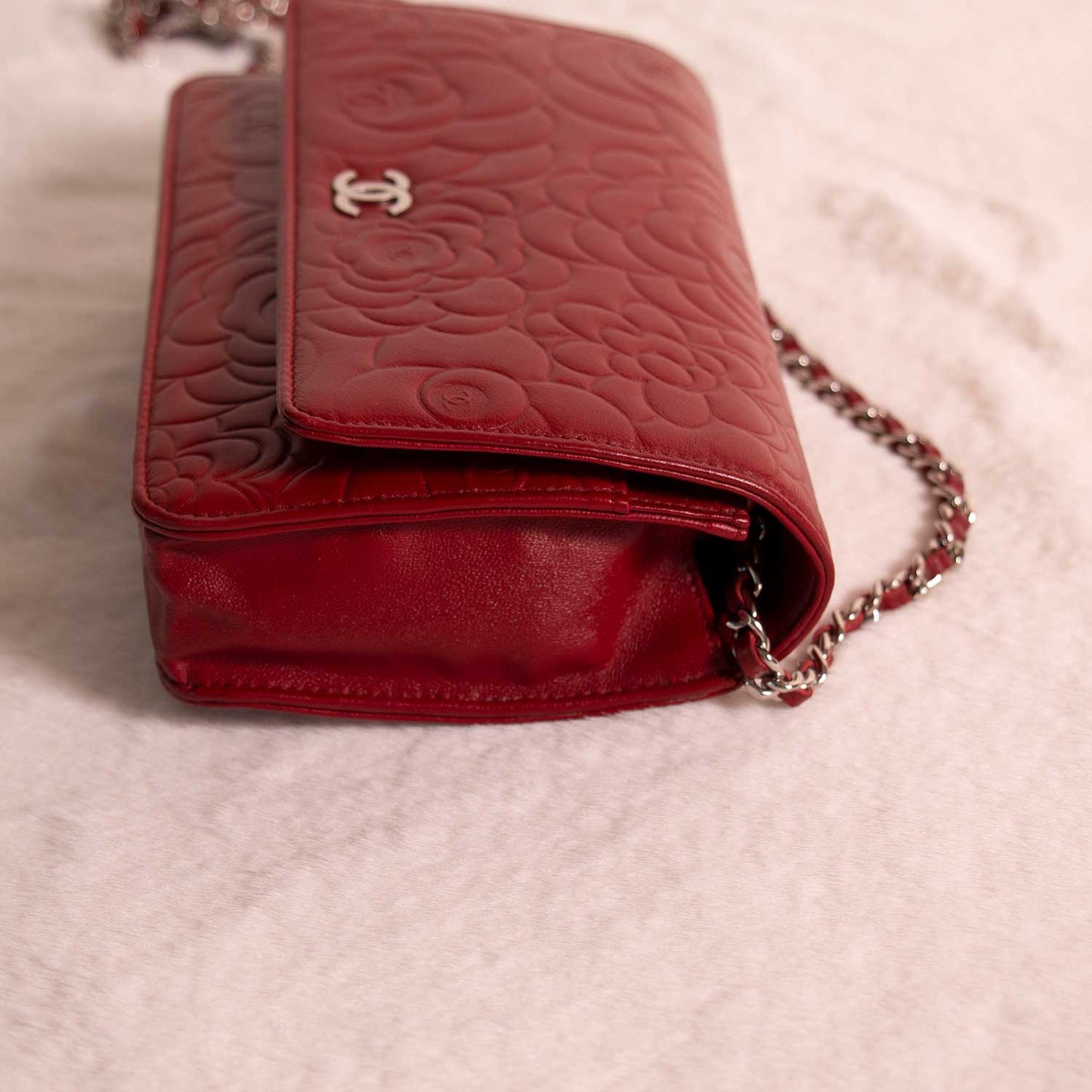 Chanel Wallet On Chain Crossbody Bag - Ewore Bags