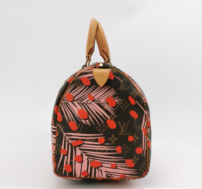 Louis Vuitton (LV) Speedy 30 bag 2016year 250312781102207
