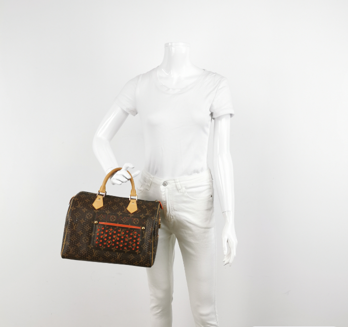 Louis Vuitton (LV) bag 2008year brown 24122778999154
