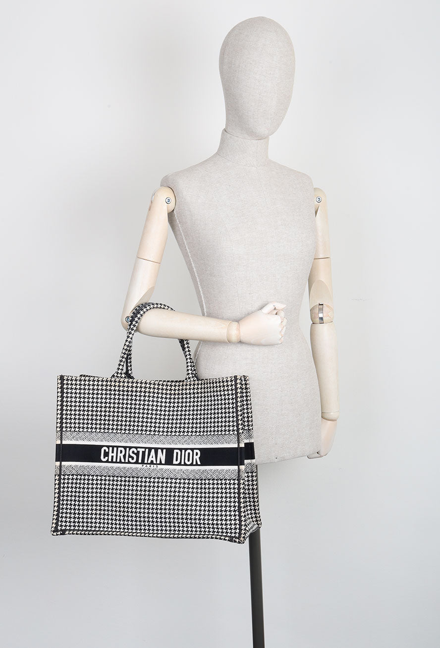 Dior Book Tote Canvas Tote