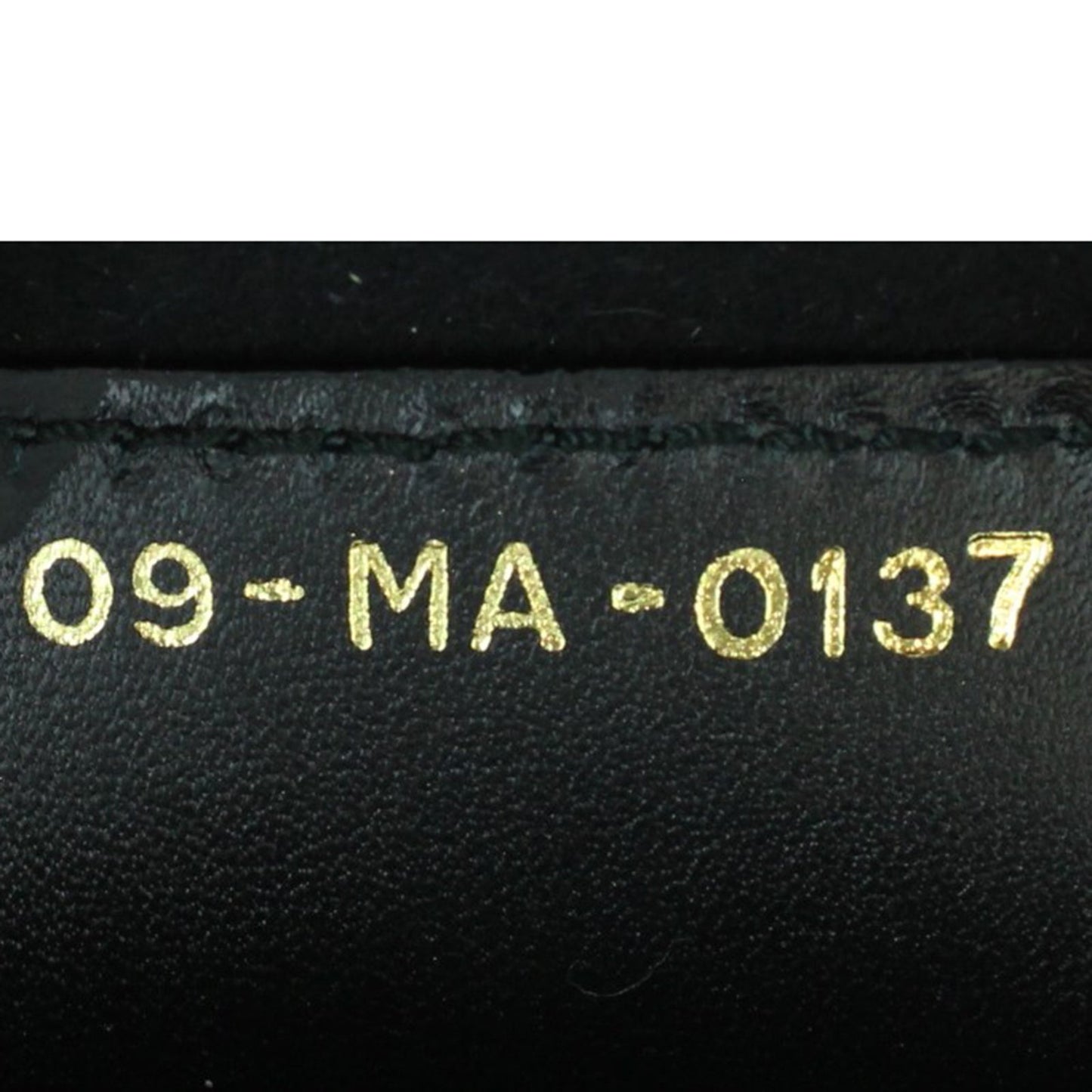 Dior D-Fence Saddle Bag