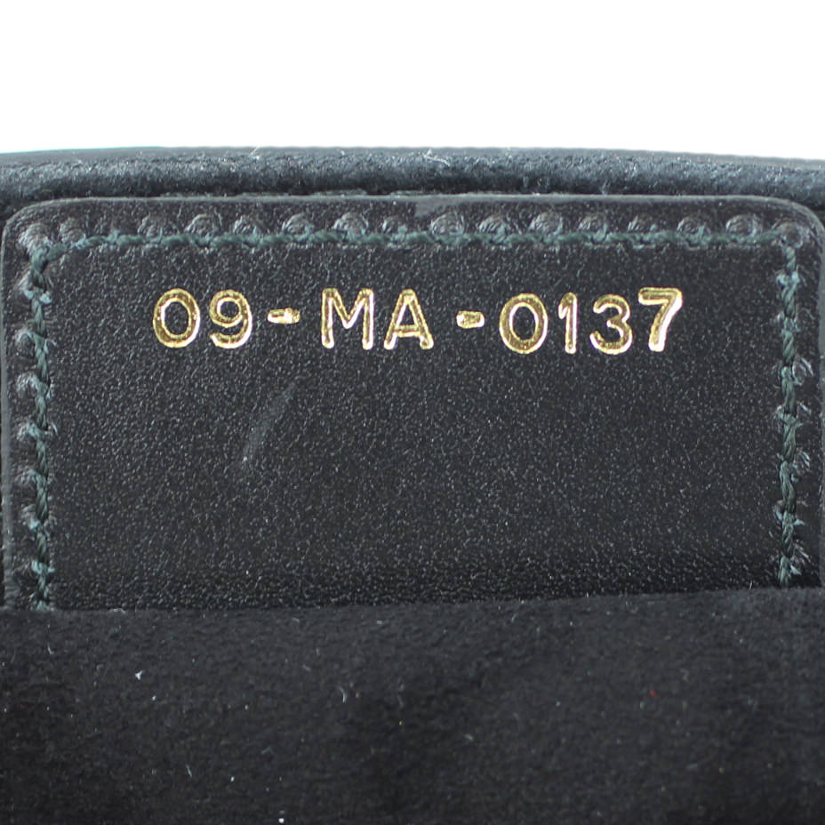 Dior D-Fence Saddle Bag