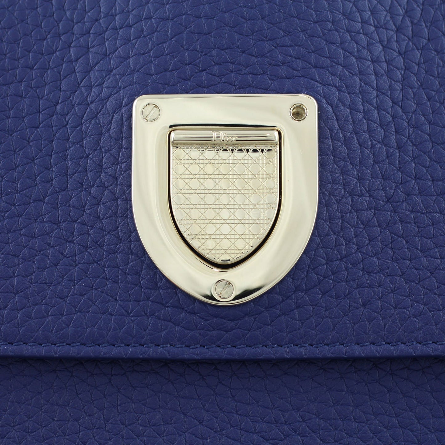 Dior Diorever Medium Satchel