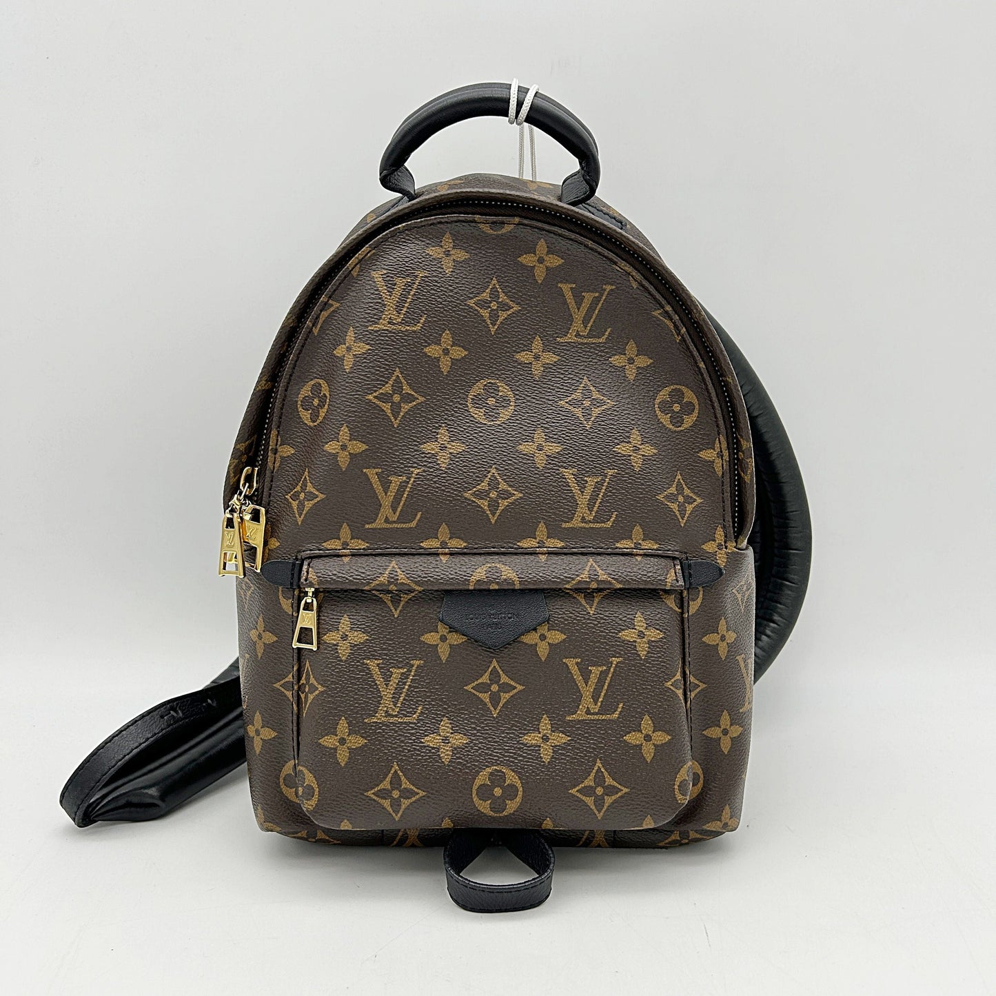 LOUIS VUITTON Monogram Palm Springs Backpack LA26501