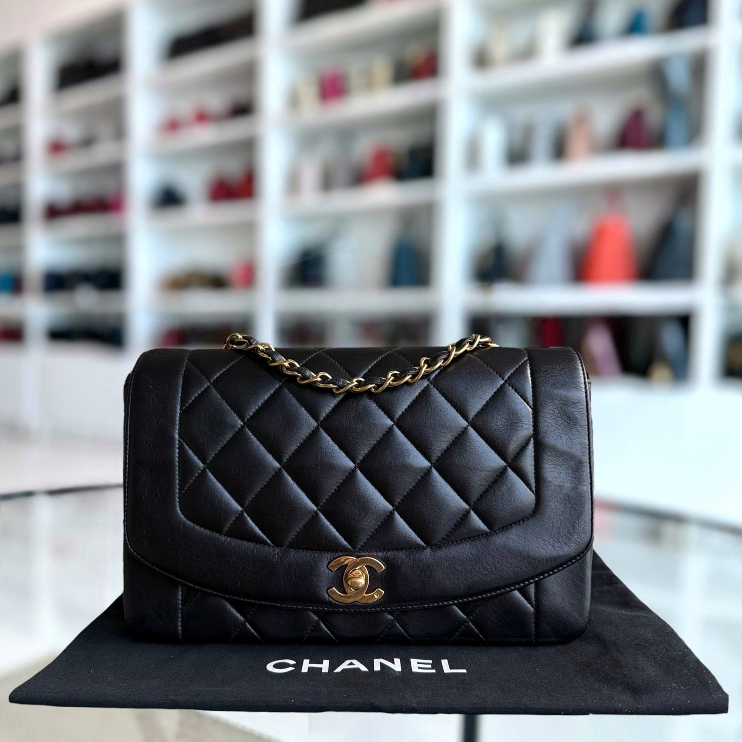 Chanel Handbag - EworeBags