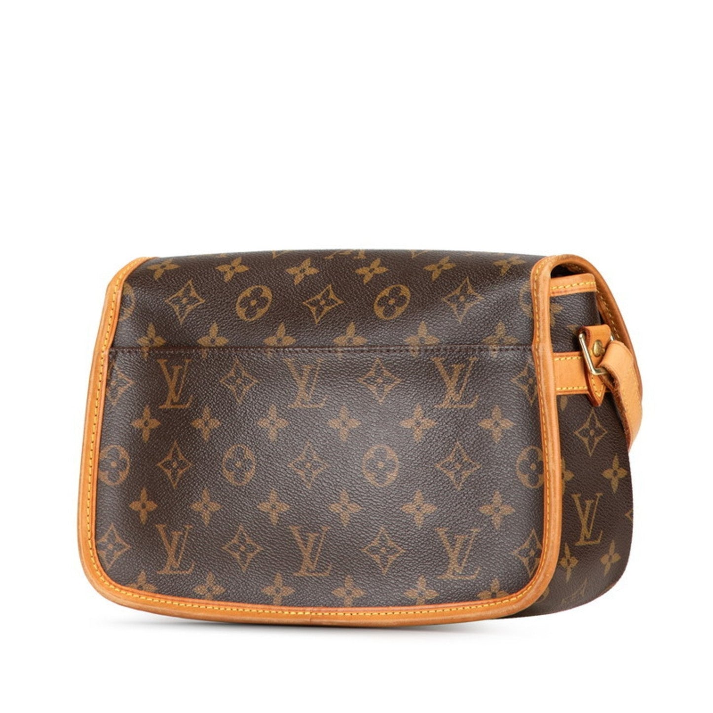 Louis Vuitton  Pvc Leather Shoulder Bag