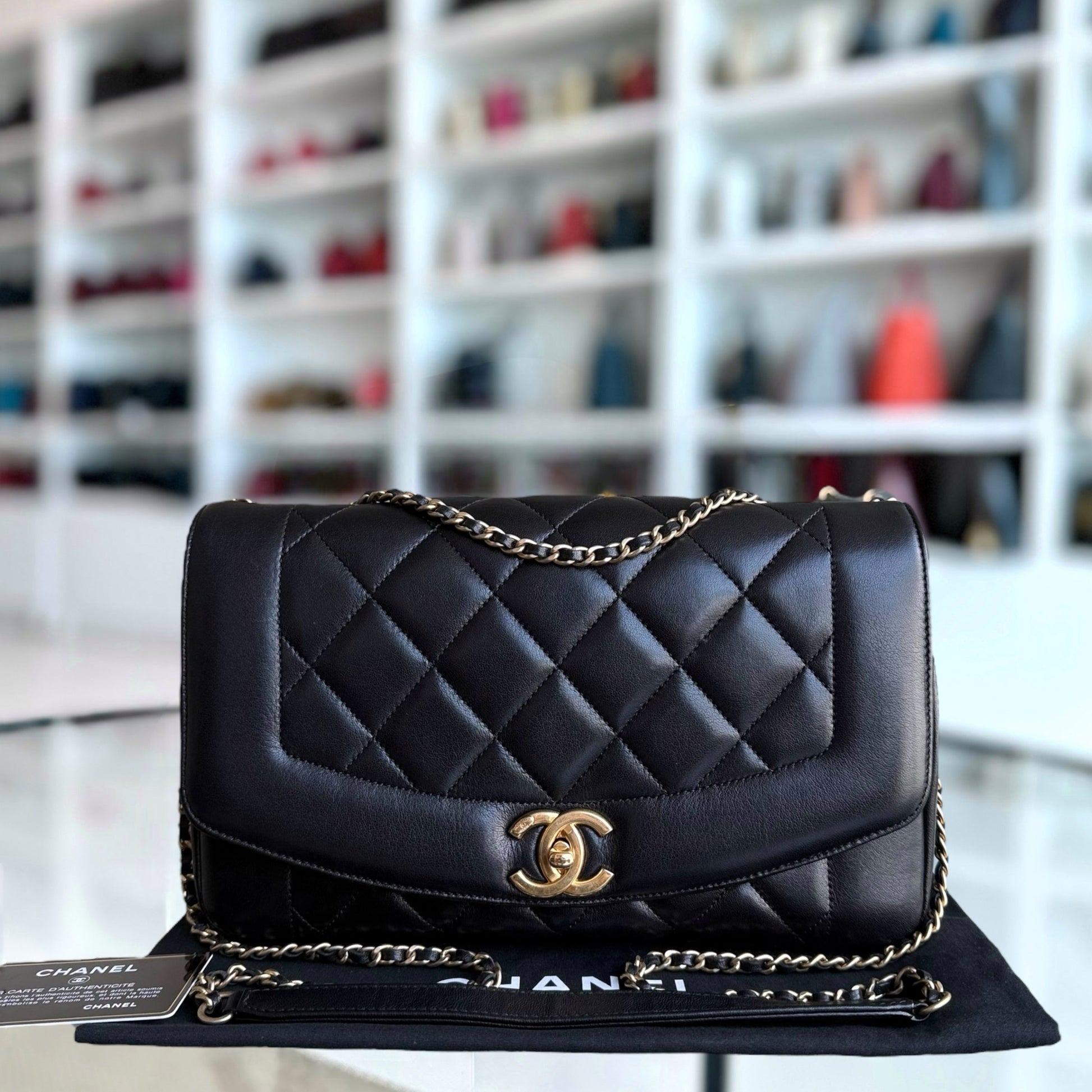 Chanel Handbag - EworeBags