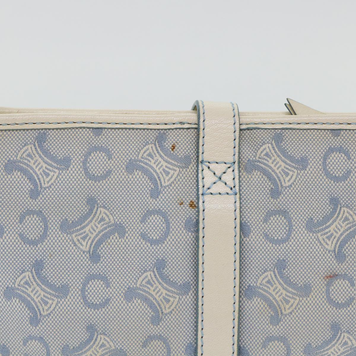 Luxury CELINE C Macadam Canvas Shoulder Bag Light Blue  ep1409
