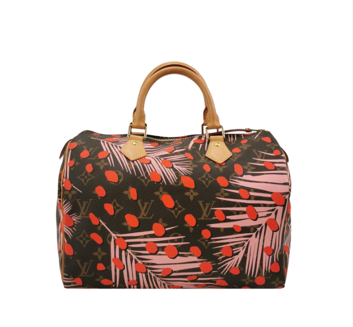 Louis Vuitton (LV) Speedy 30 bag 2016year 250312781102207