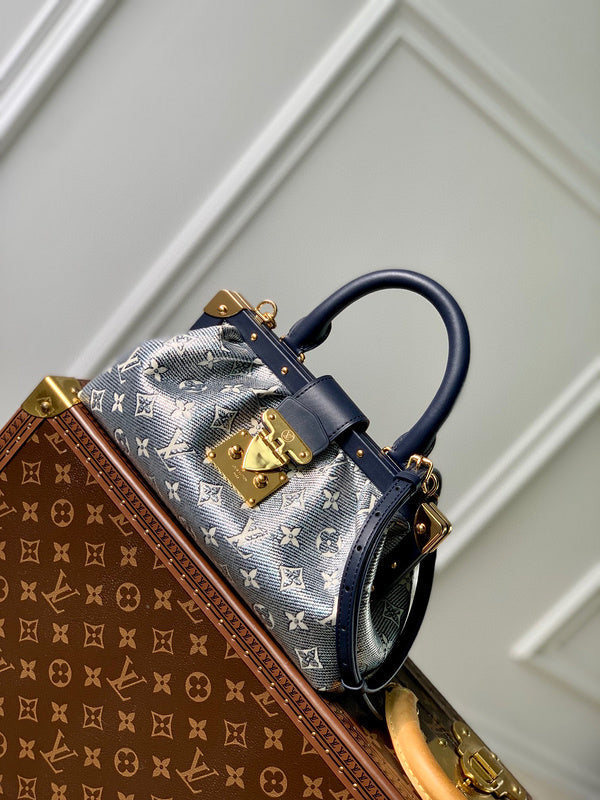 Louis Vuitton Bags